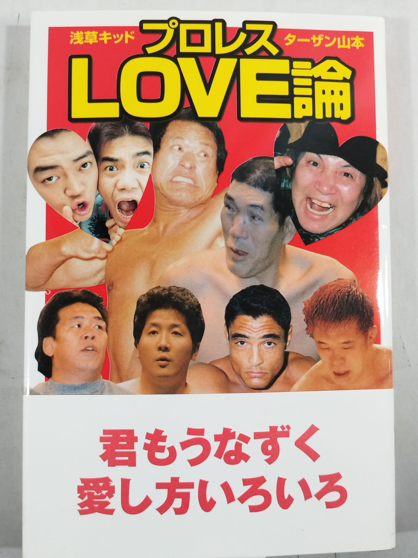Pro Wrestling LOVE Theory