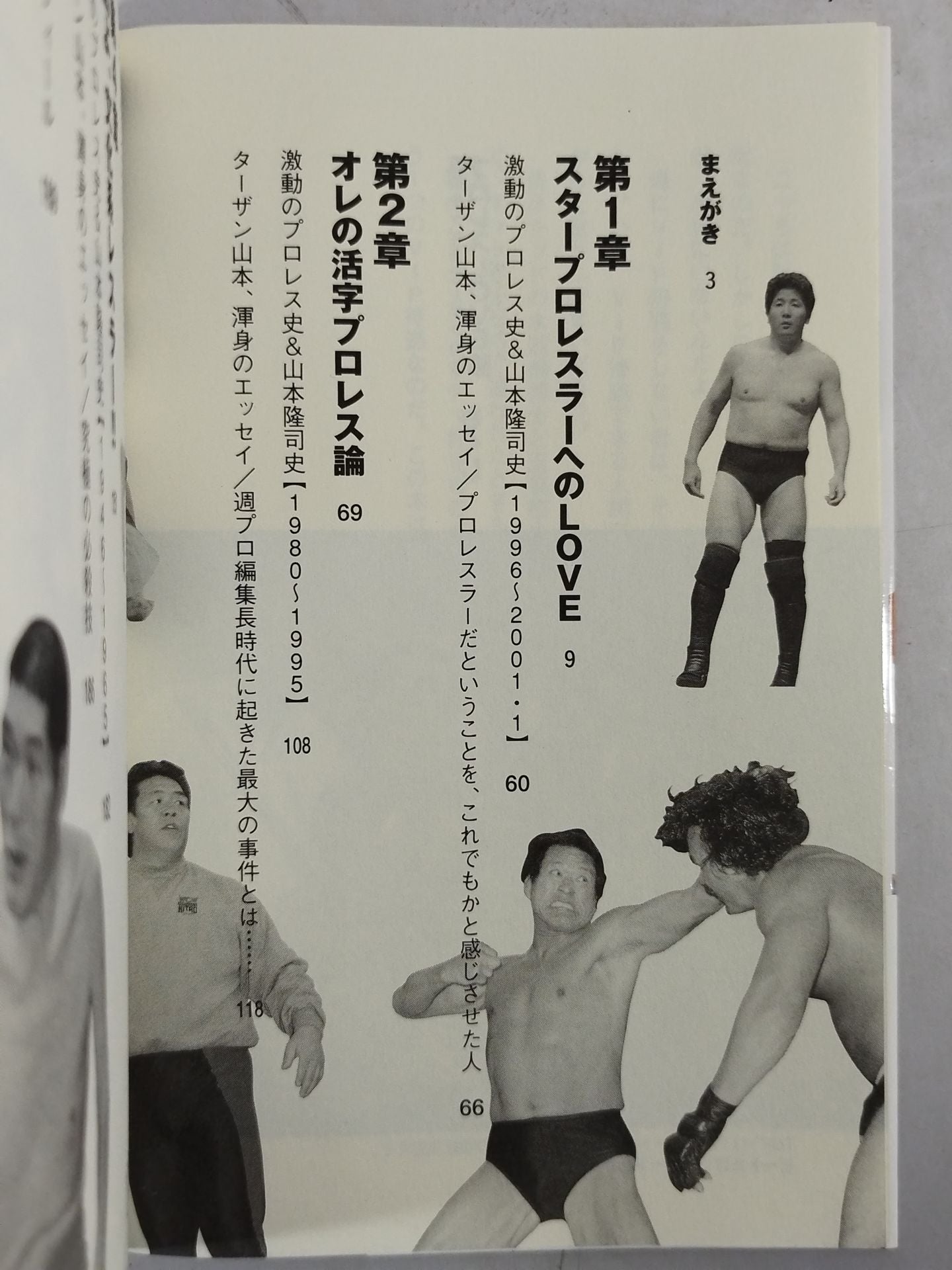Pro Wrestling LOVE Theory