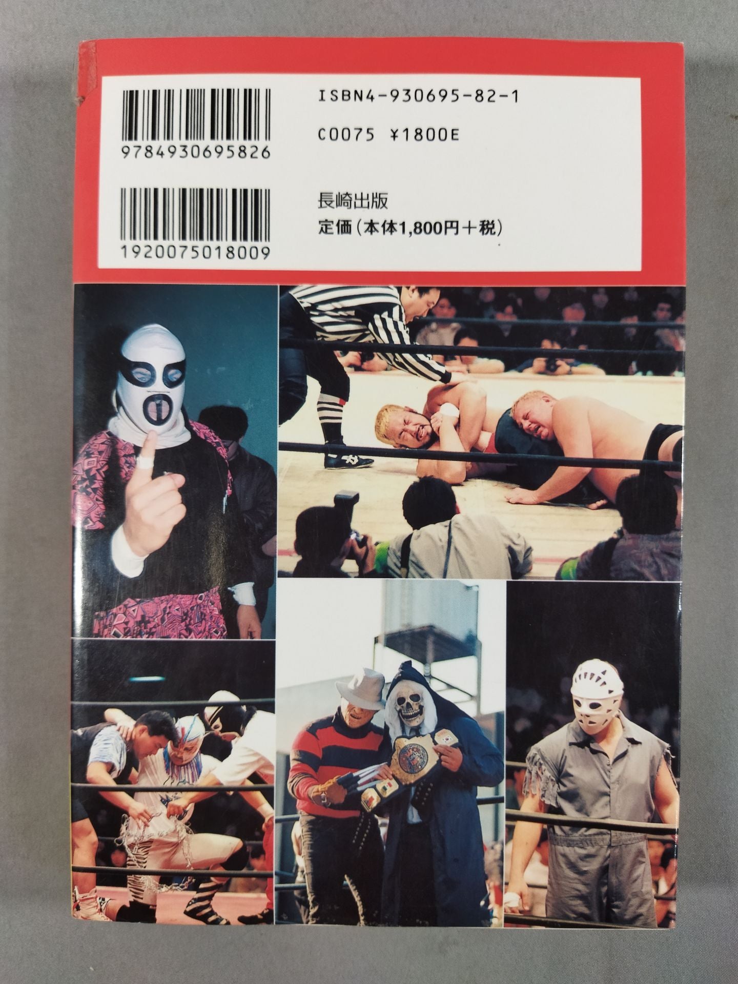 Mr. Danger Pro Wrestling Danger Zone