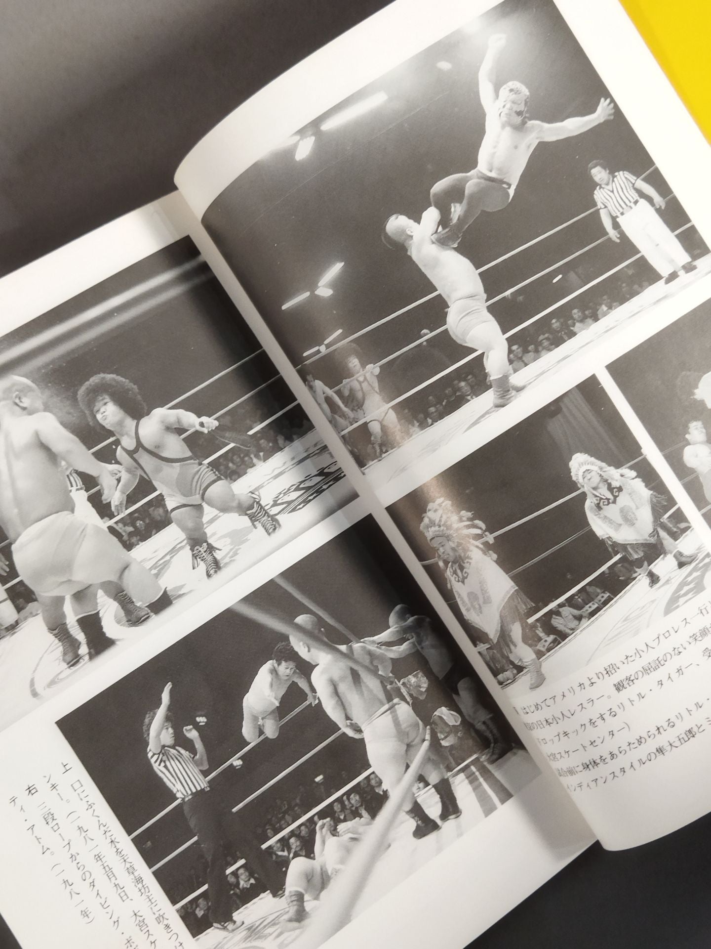 Laughter! This is dwarf Pro Wrestling