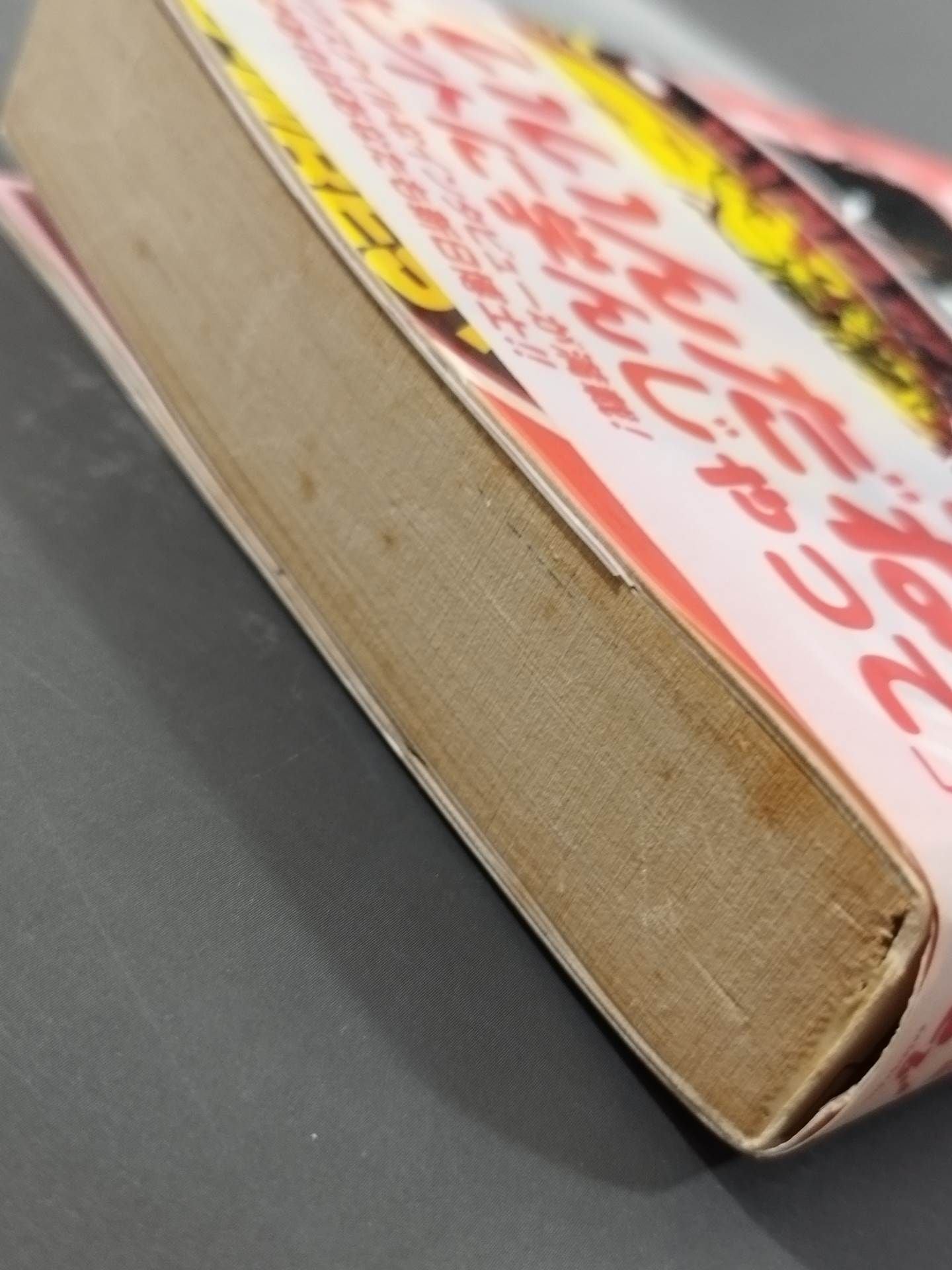 New Japan Pro Wrestling Study Book