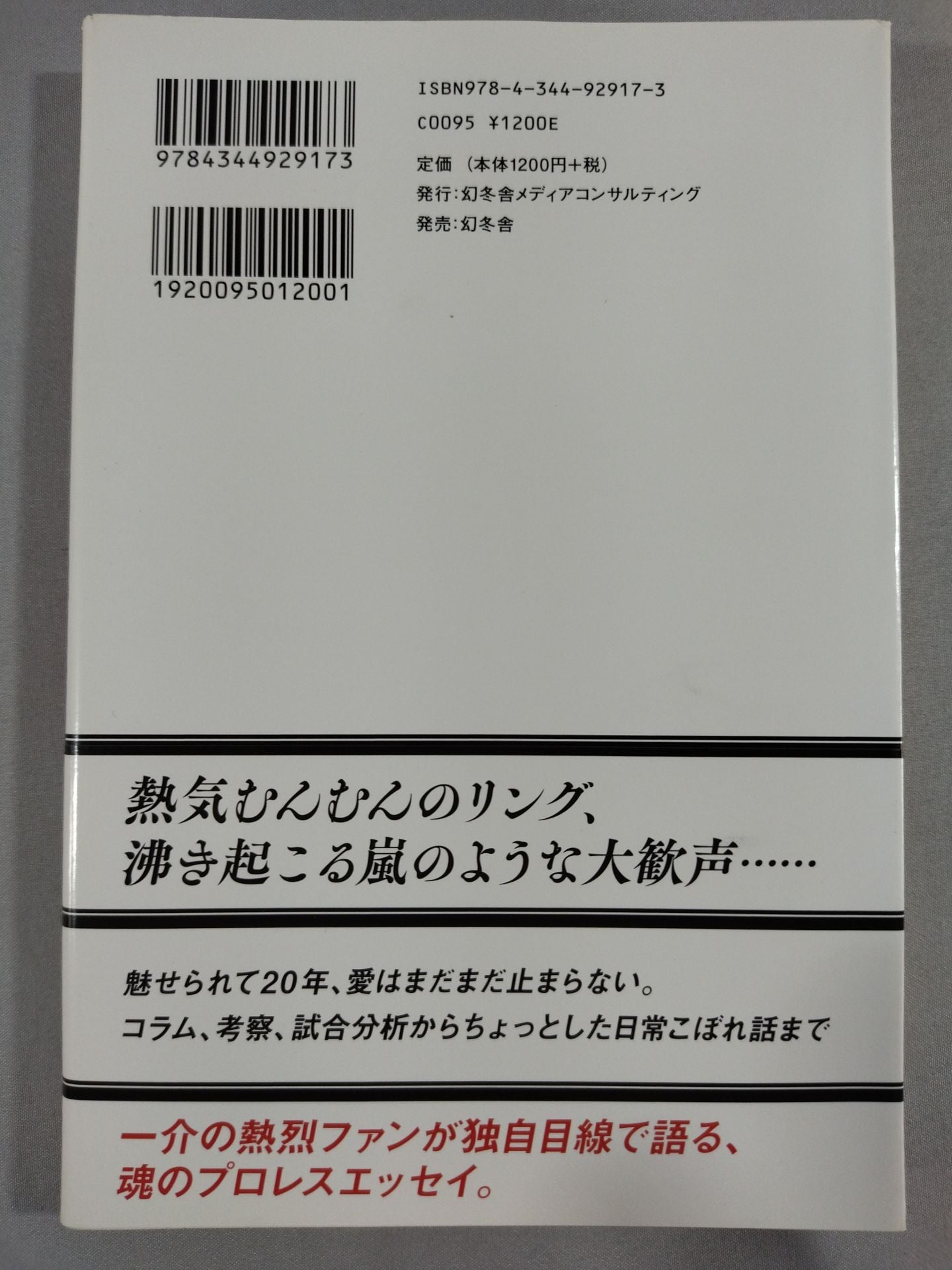 アイディア・プロレスコラムDX(デラックス)
