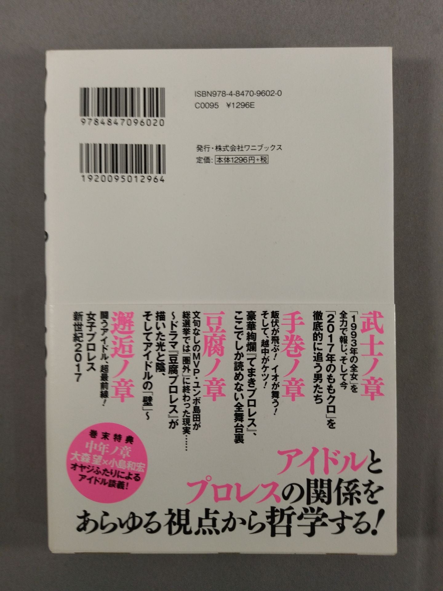 Idle ×Pro Wrestling