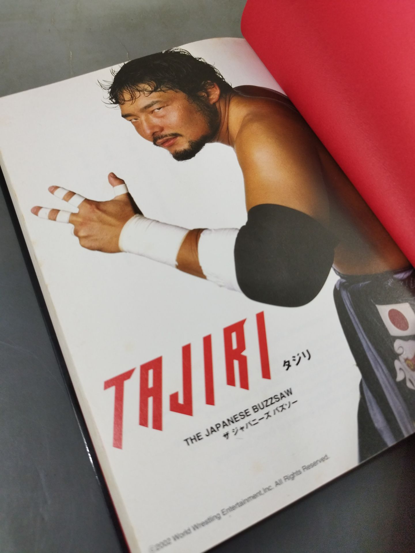 TAJIRI The Japanese Buzzsaw