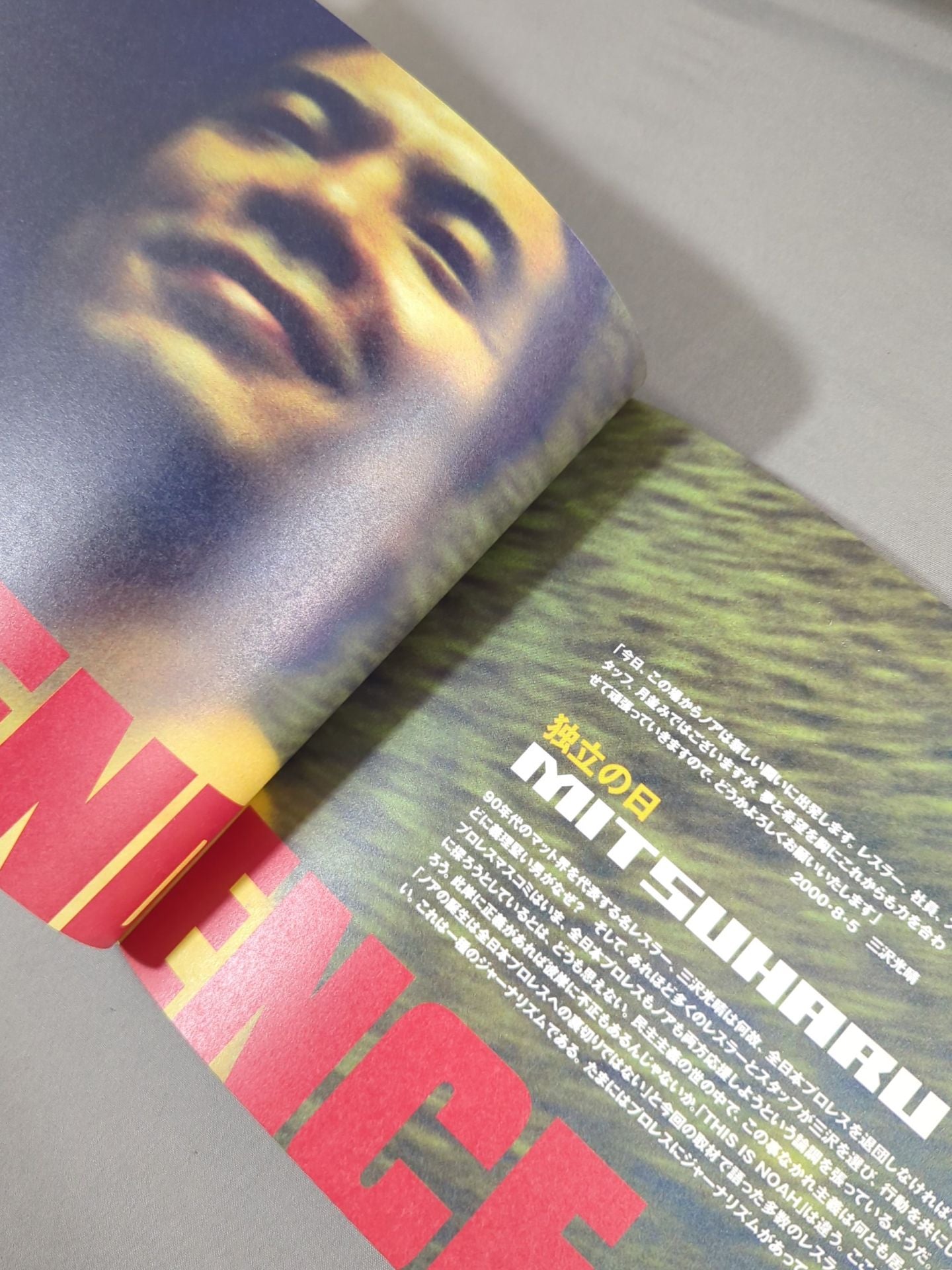 THIS IS NOAH! Pro-wrestling Noah Official 'Behind' Pamphlet