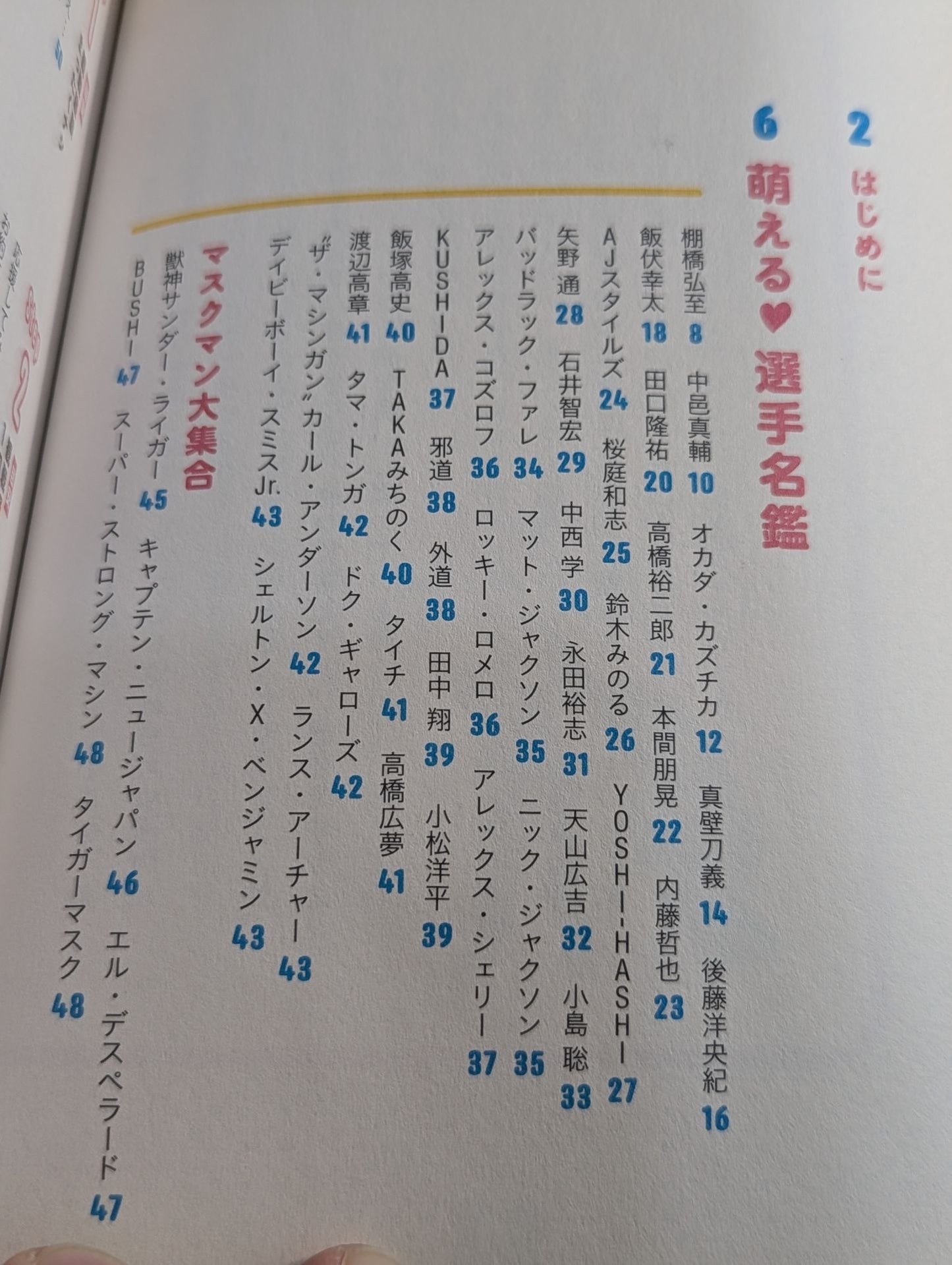 Moe Pro Pro Wrestling Guidebook for Girls