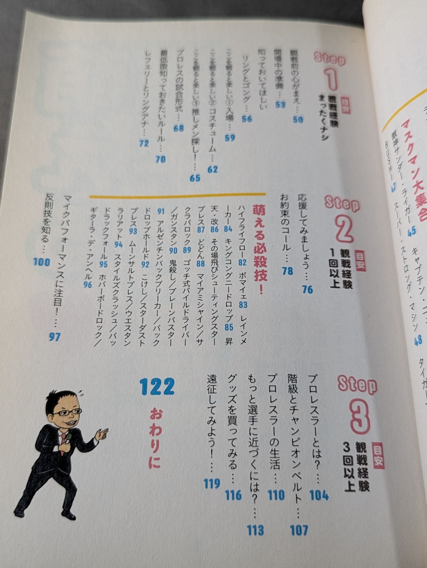 Moe Pro Pro Wrestling Guidebook for Girls