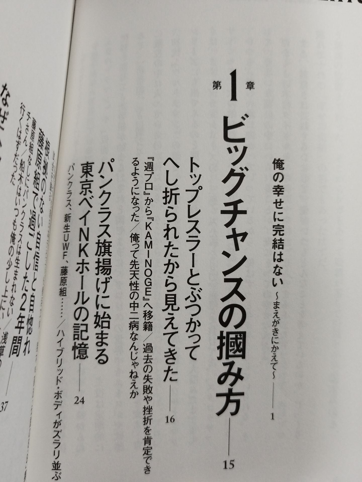 Glittering Happiness Theory White Chapter