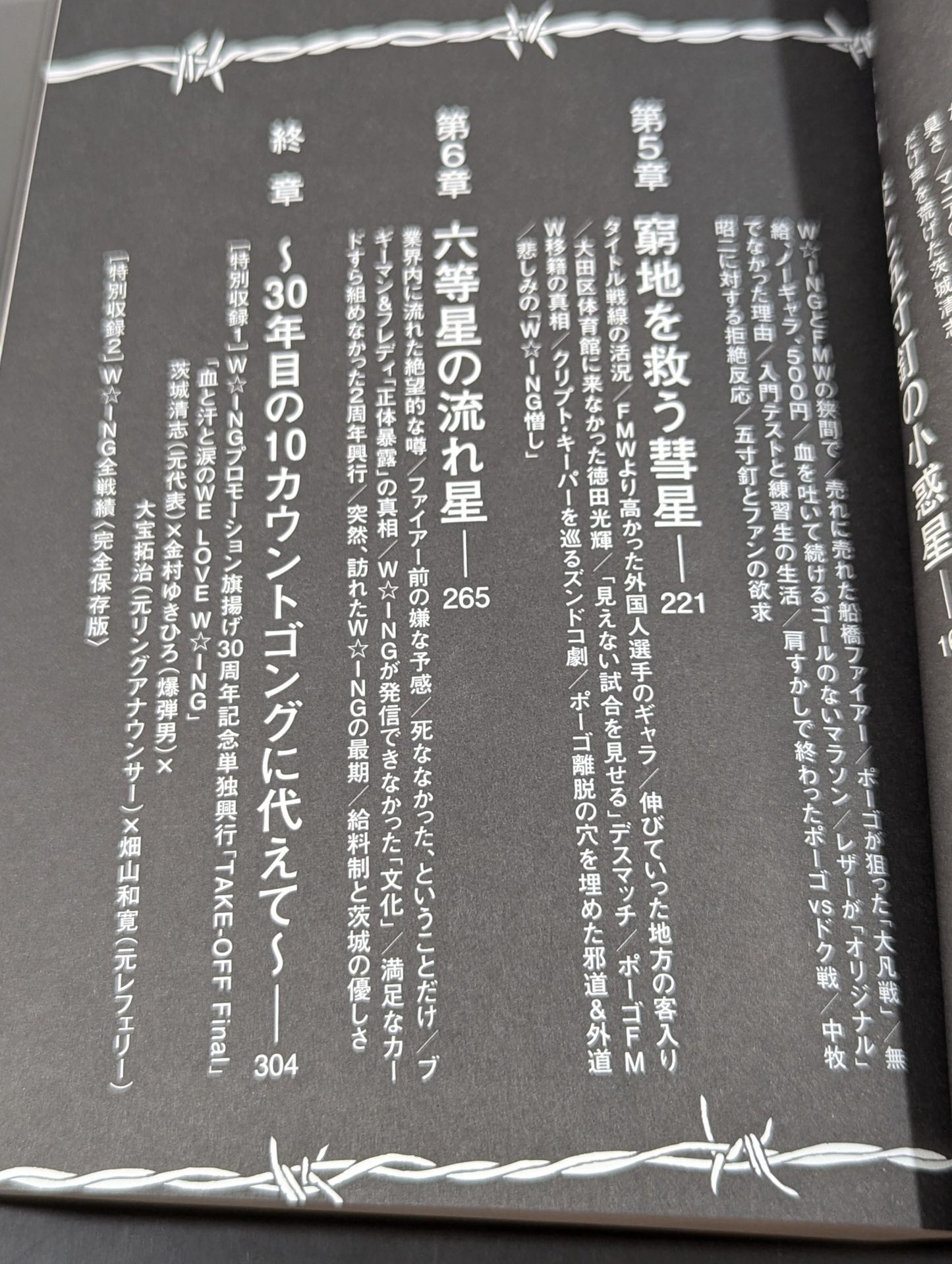 W★ING 流れ星伝説 星屑たちのプロレス純情青春録