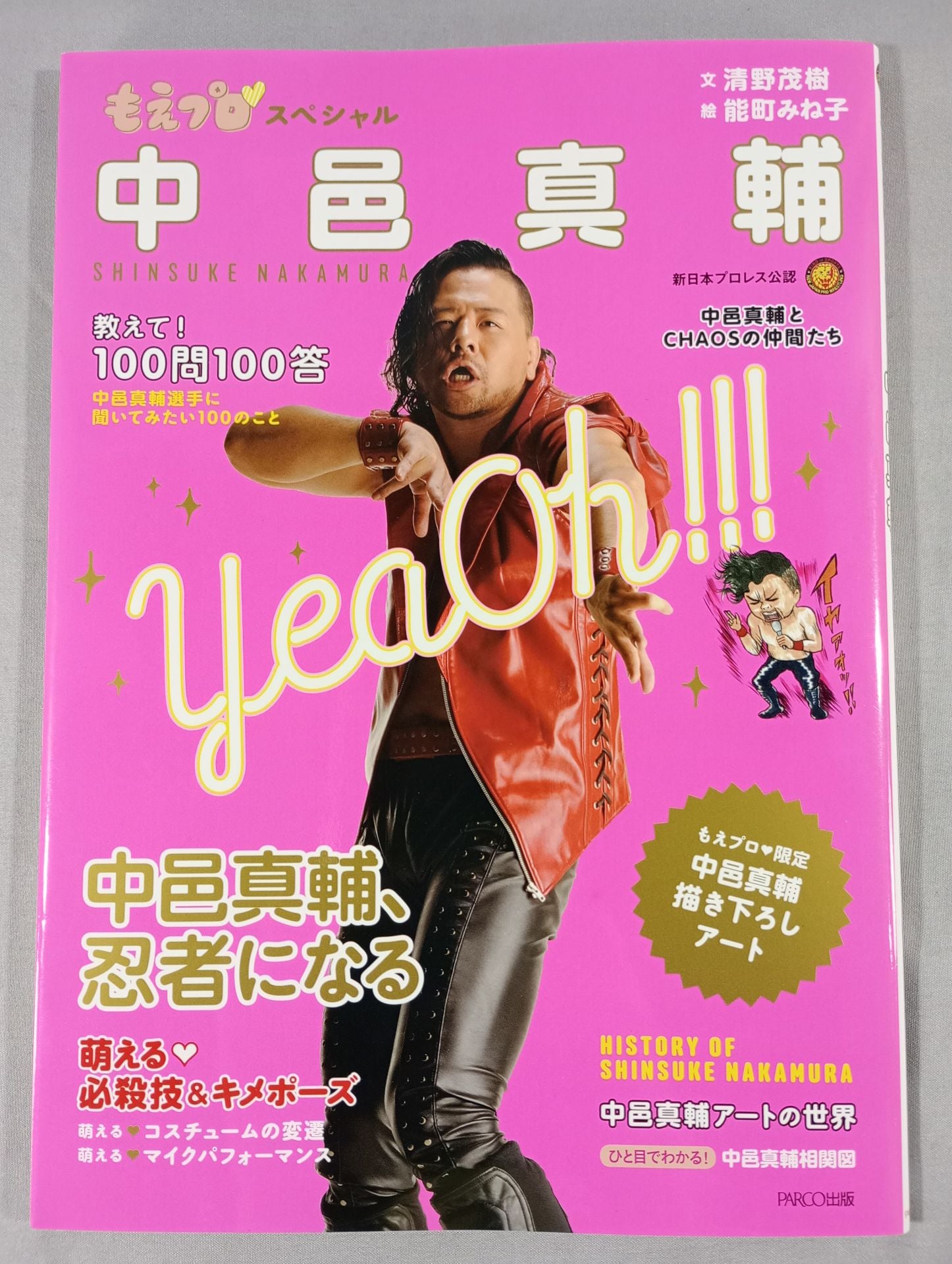 新品未使用✨中邑真輔 タペストリー もえプロ♡スペシャル 中邑真輔 – 闘道館