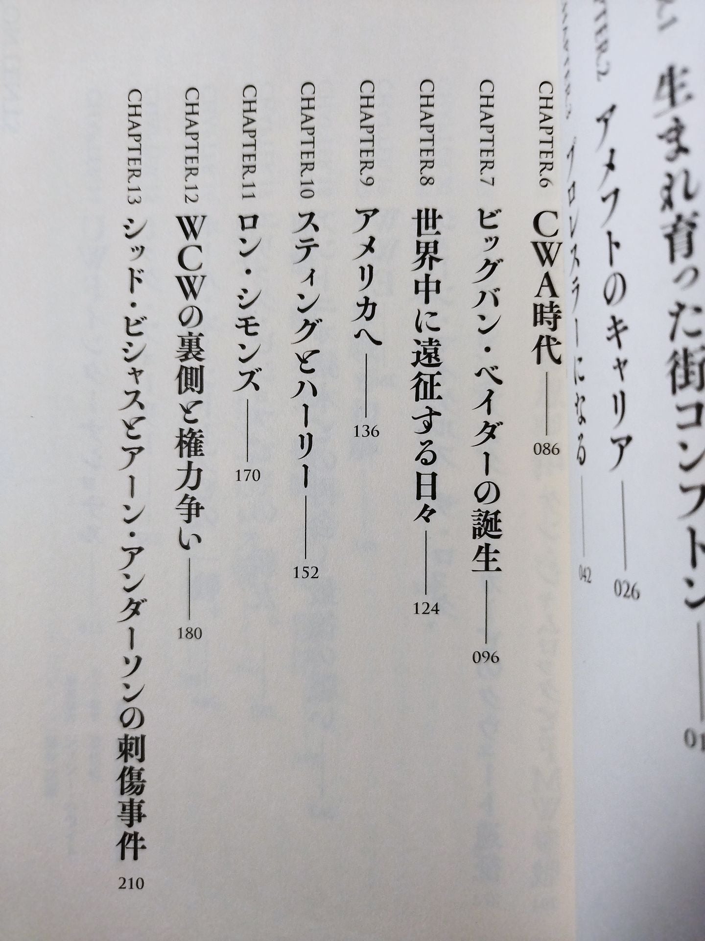 ベイダータイム 皇帝戦士の真実