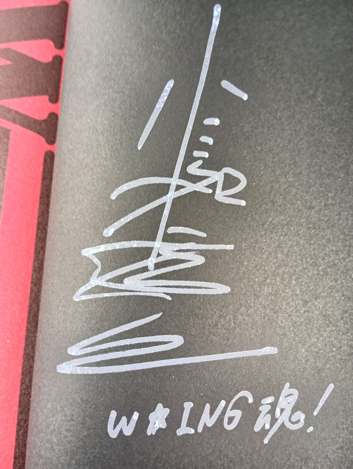 【小島和宏&茨城清志 直筆サイン入り】W★ING 流れ星伝説 星屑たちのプロレス純情青春録