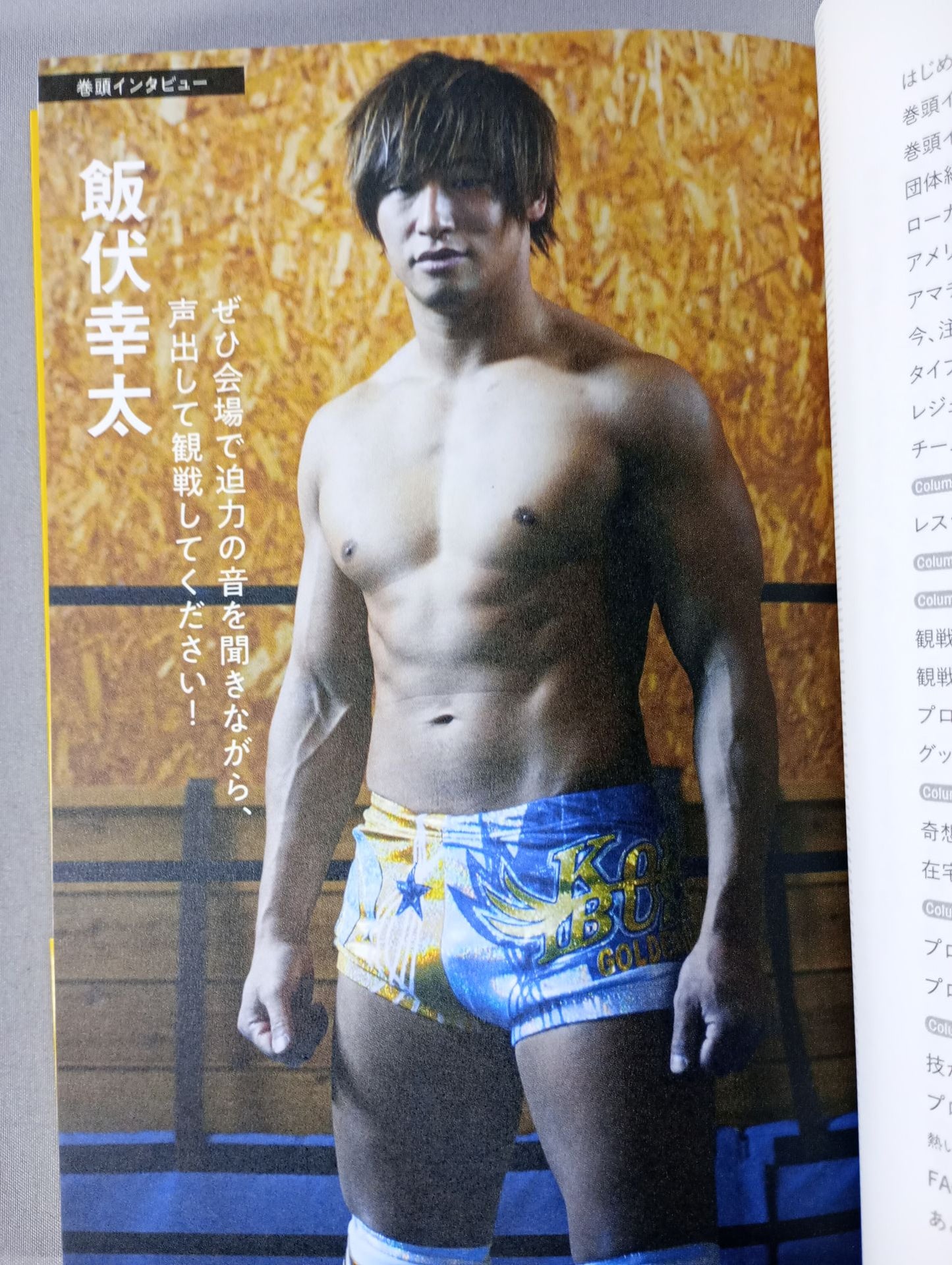 Introduction to Modern Pro Wrestling