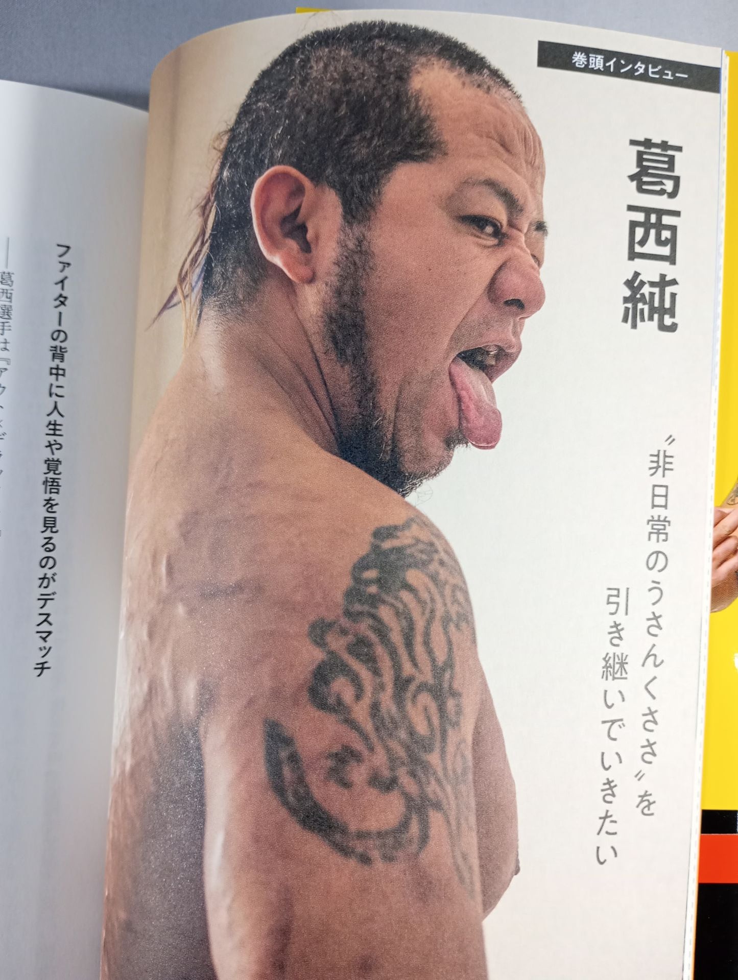 Introduction to Modern Pro Wrestling