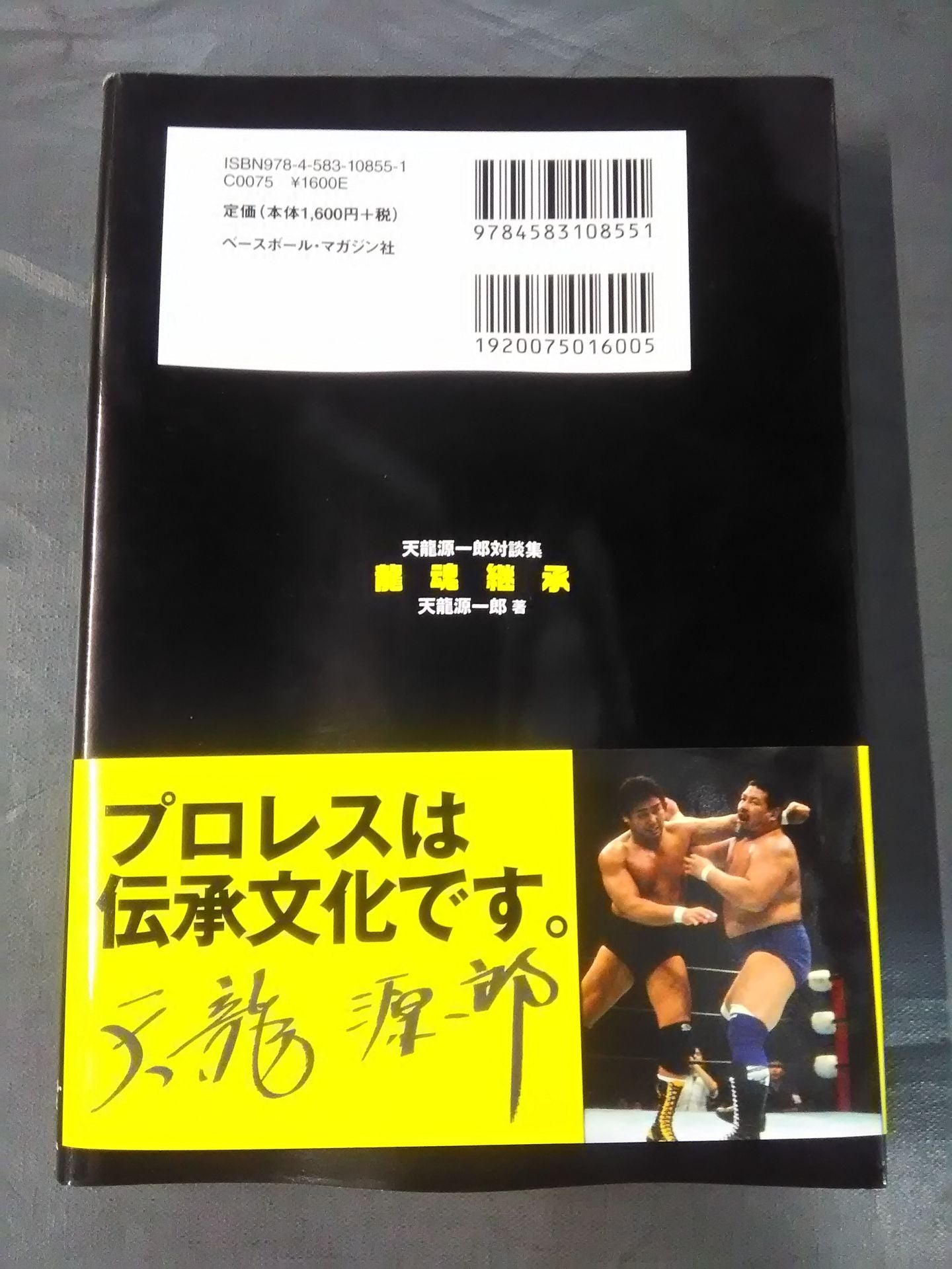 Inheritance of the Dragon Soul Tenryu Genichiro Dialogue Collection