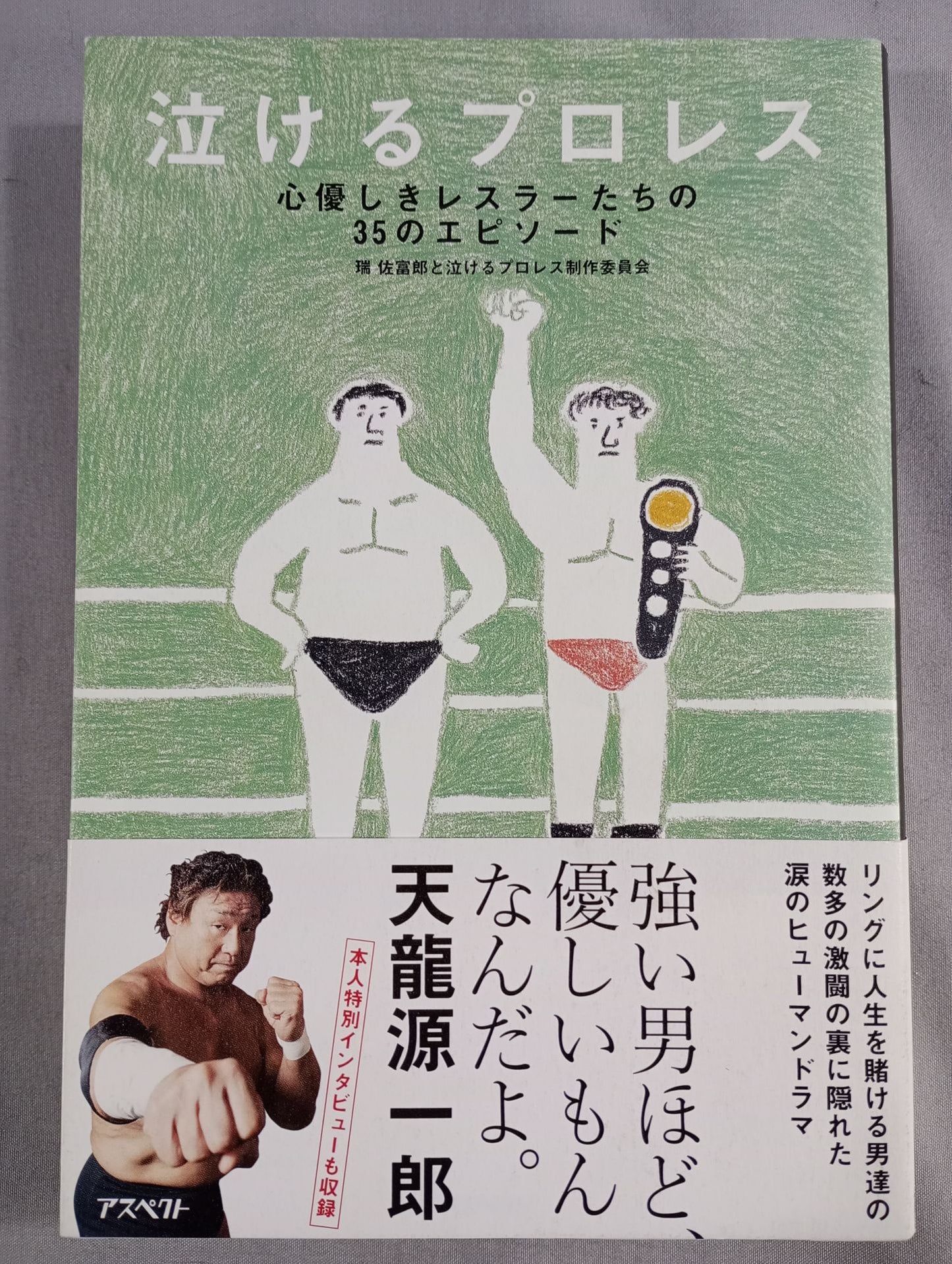 Pro Wrestling : 35 episodes of kind-hearted wrestlers