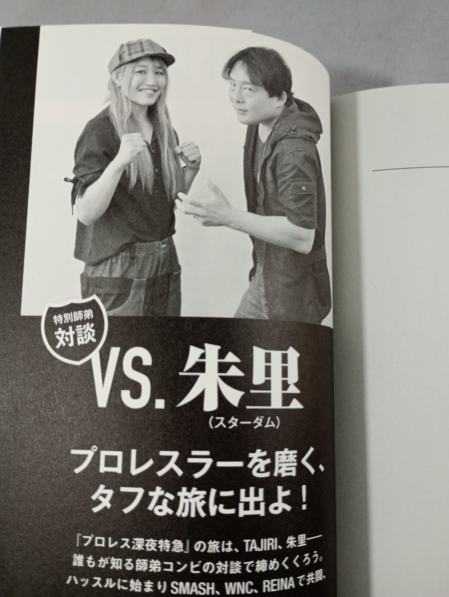 プロレス深夜特急 プロレスラーは世界をめぐる旅芸人