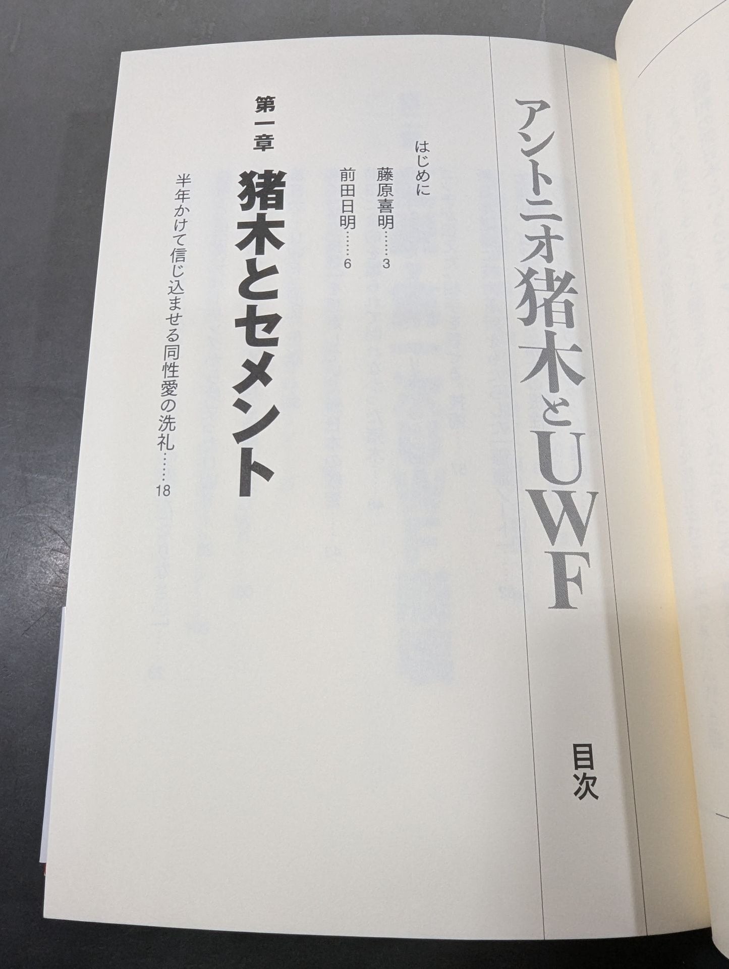 アントニオ猪木とUWF