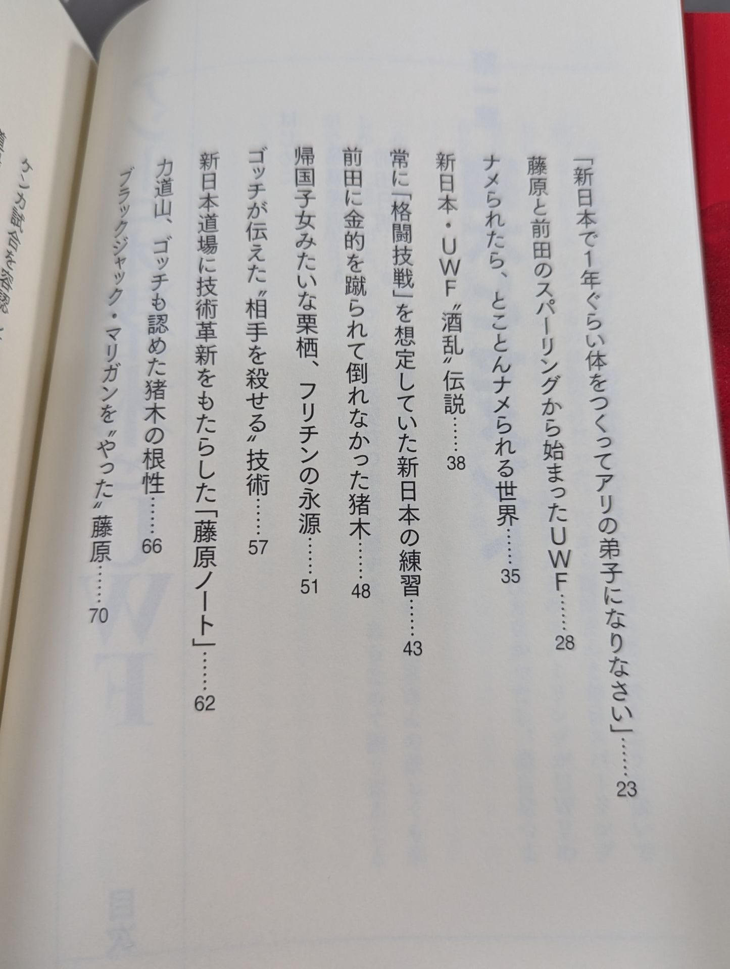 アントニオ猪木とUWF