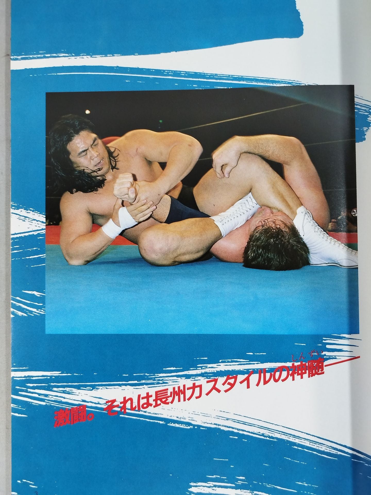 WE LOVE RIKI 長州力 フォトメモリアル Cookie7月別冊