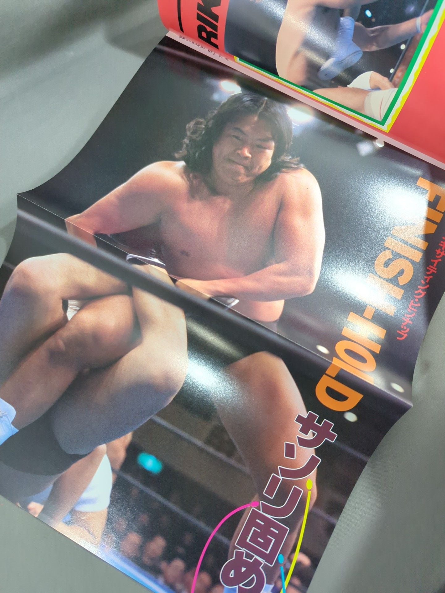 Revolutionary Warrior Riki Choshu Pro Wrestling Rebel