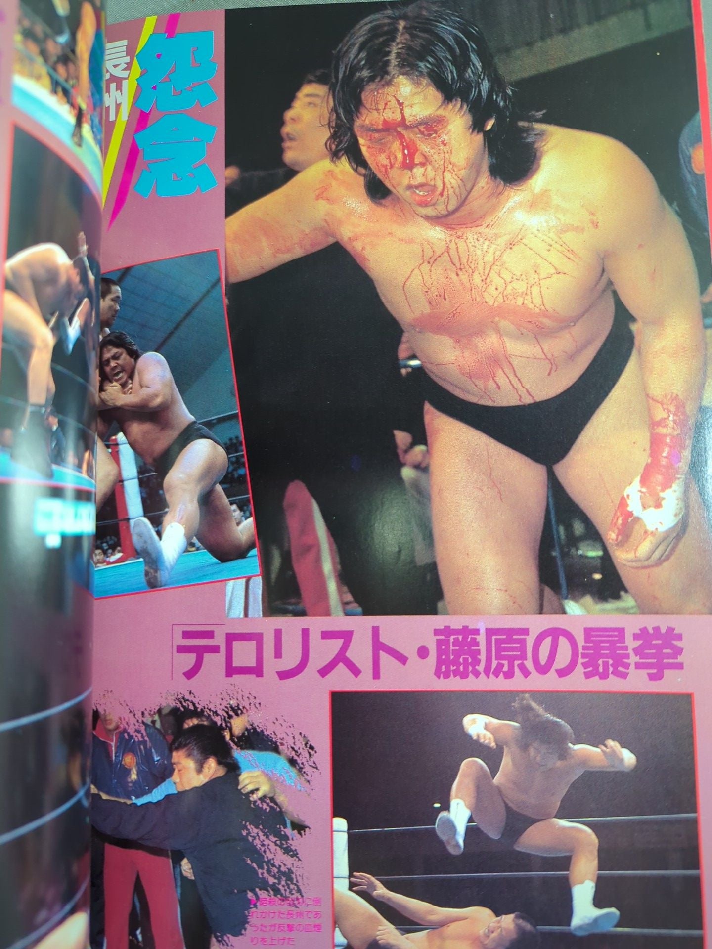 Revolutionary Warrior Riki Choshu Pro Wrestling Rebel