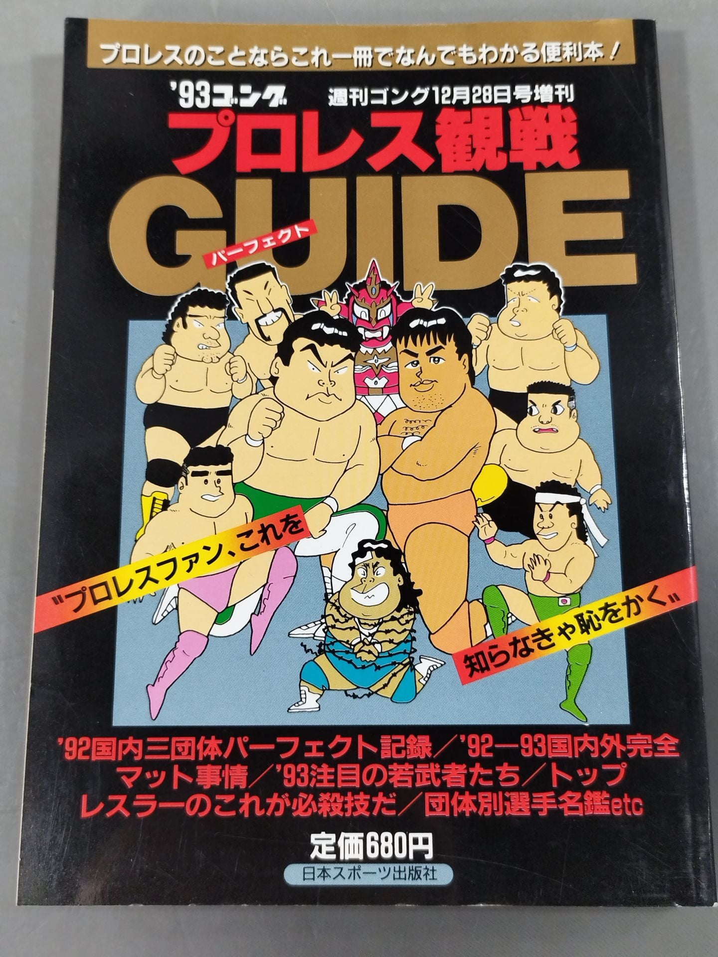 93 Gong Pro Wrestling Perfect Guide