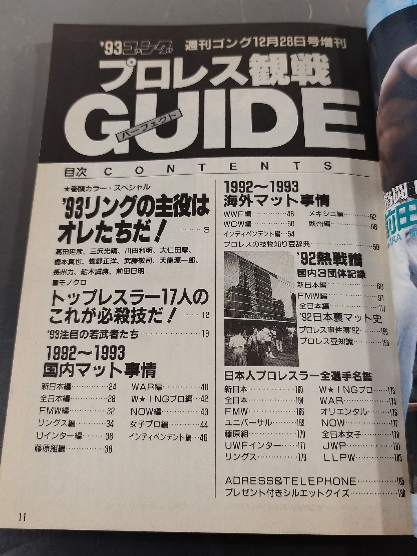 93 Gong Pro Wrestling Perfect Guide