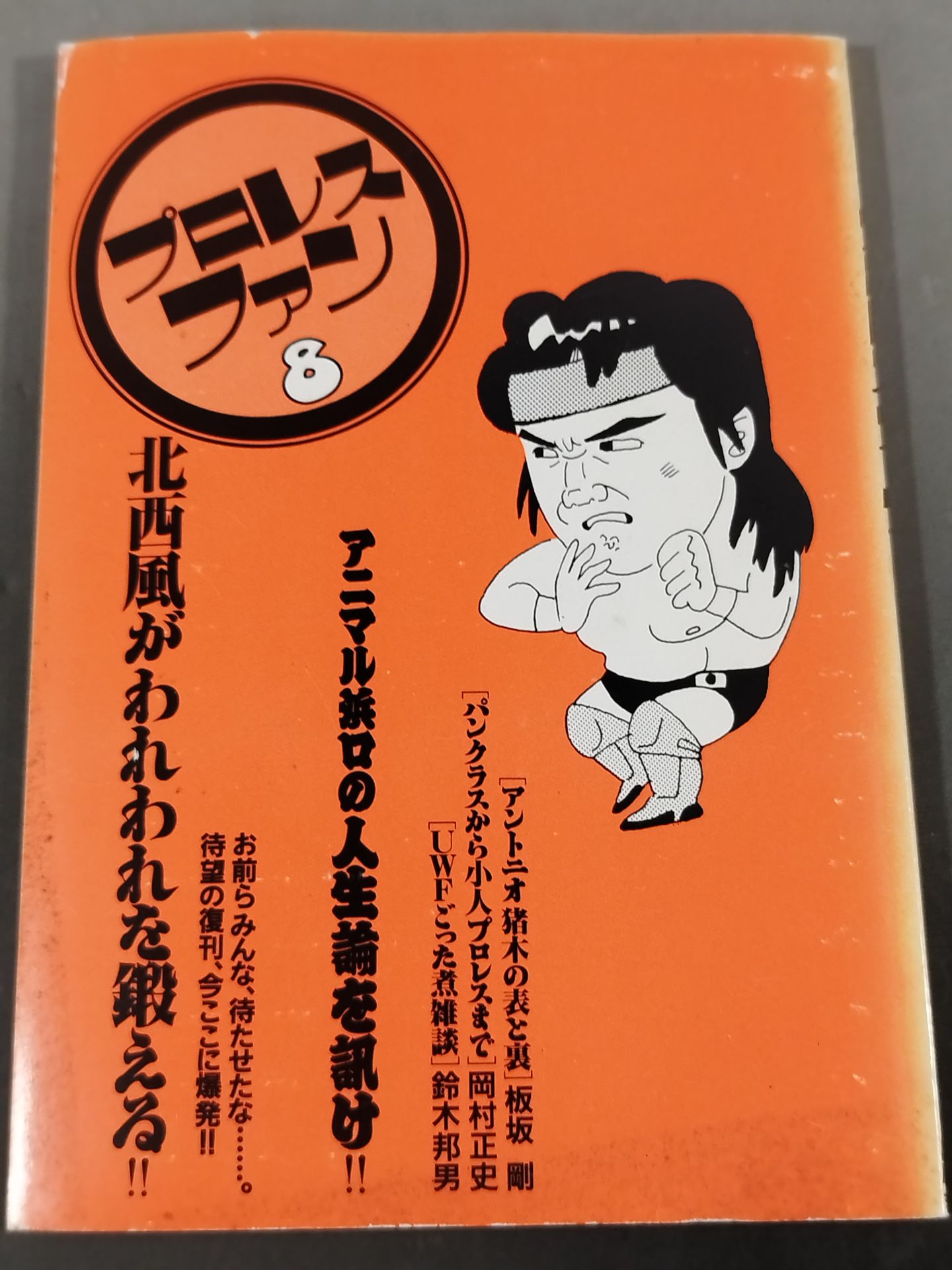Pro Wrestling Fan 8