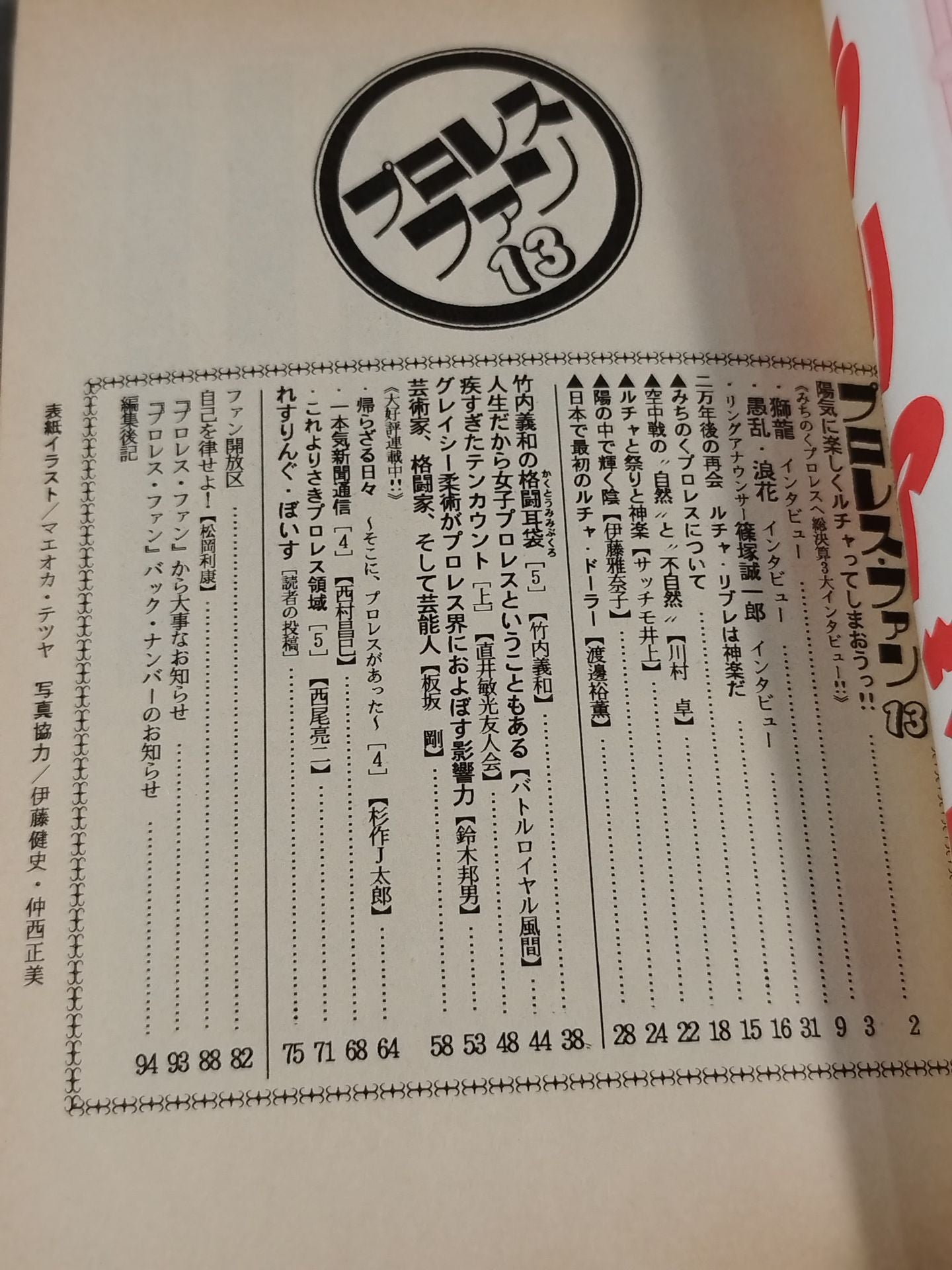 プロレス・ファン13