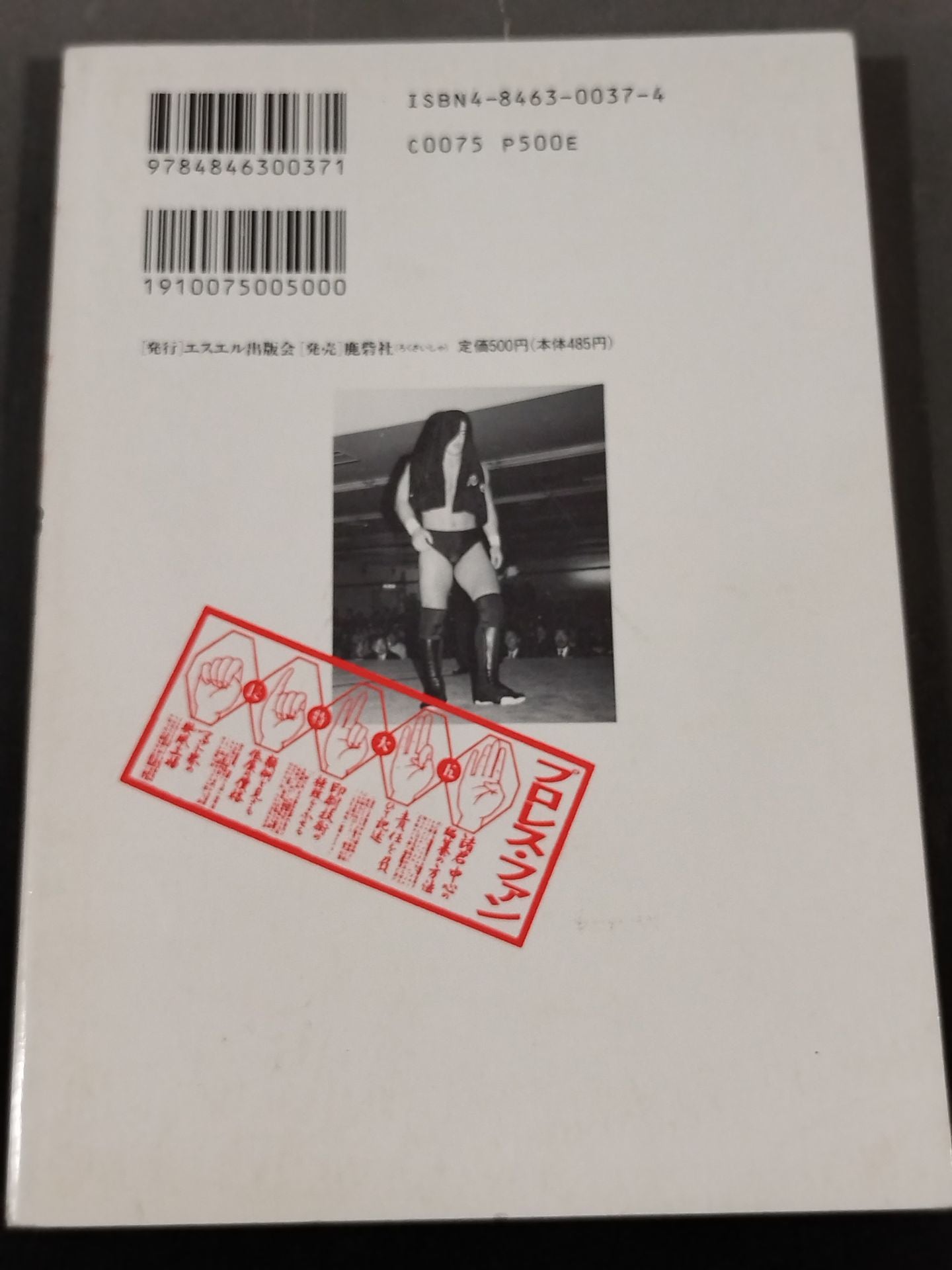 プロレス・ファン13