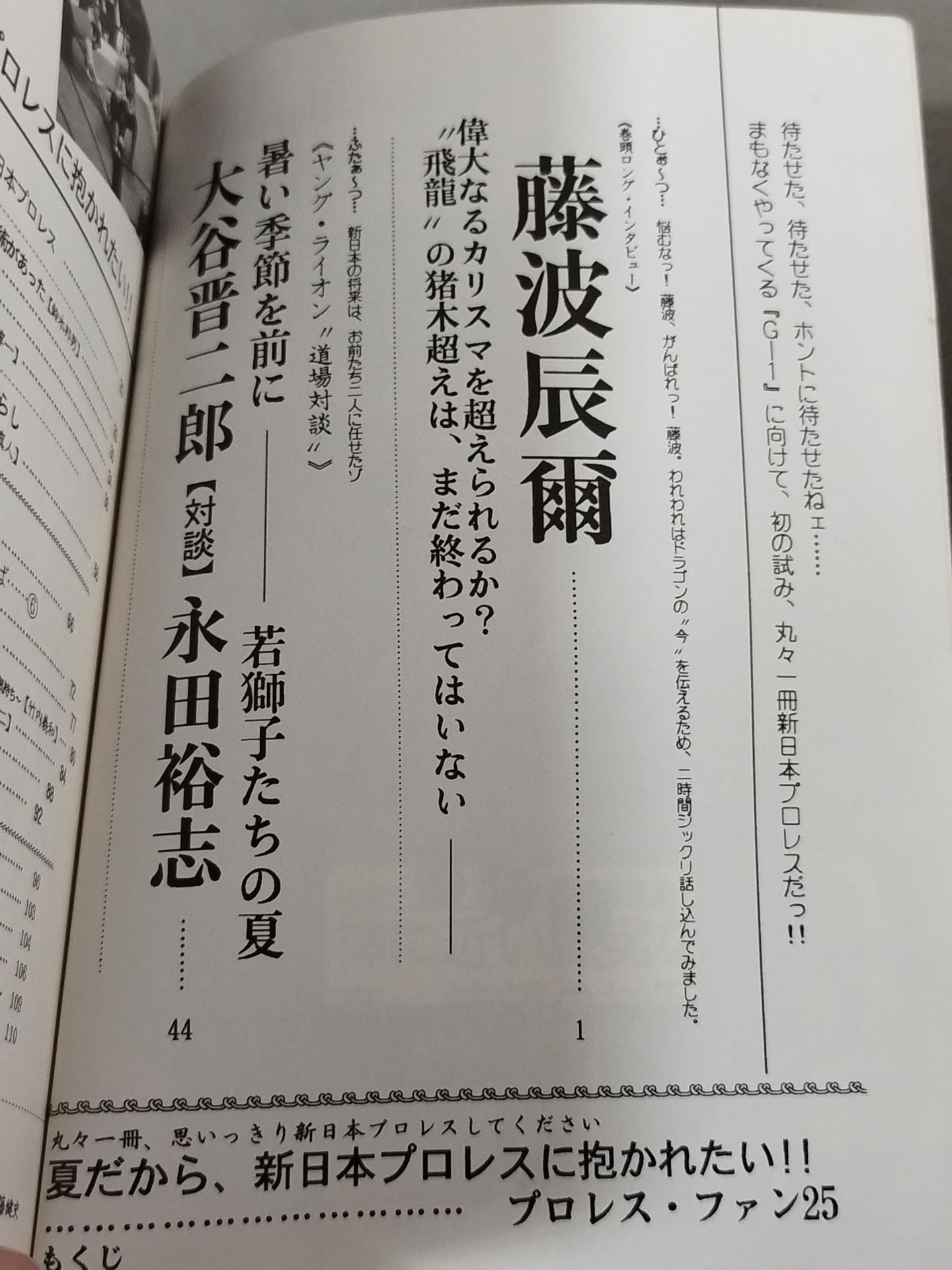 プロレス・ファン25
