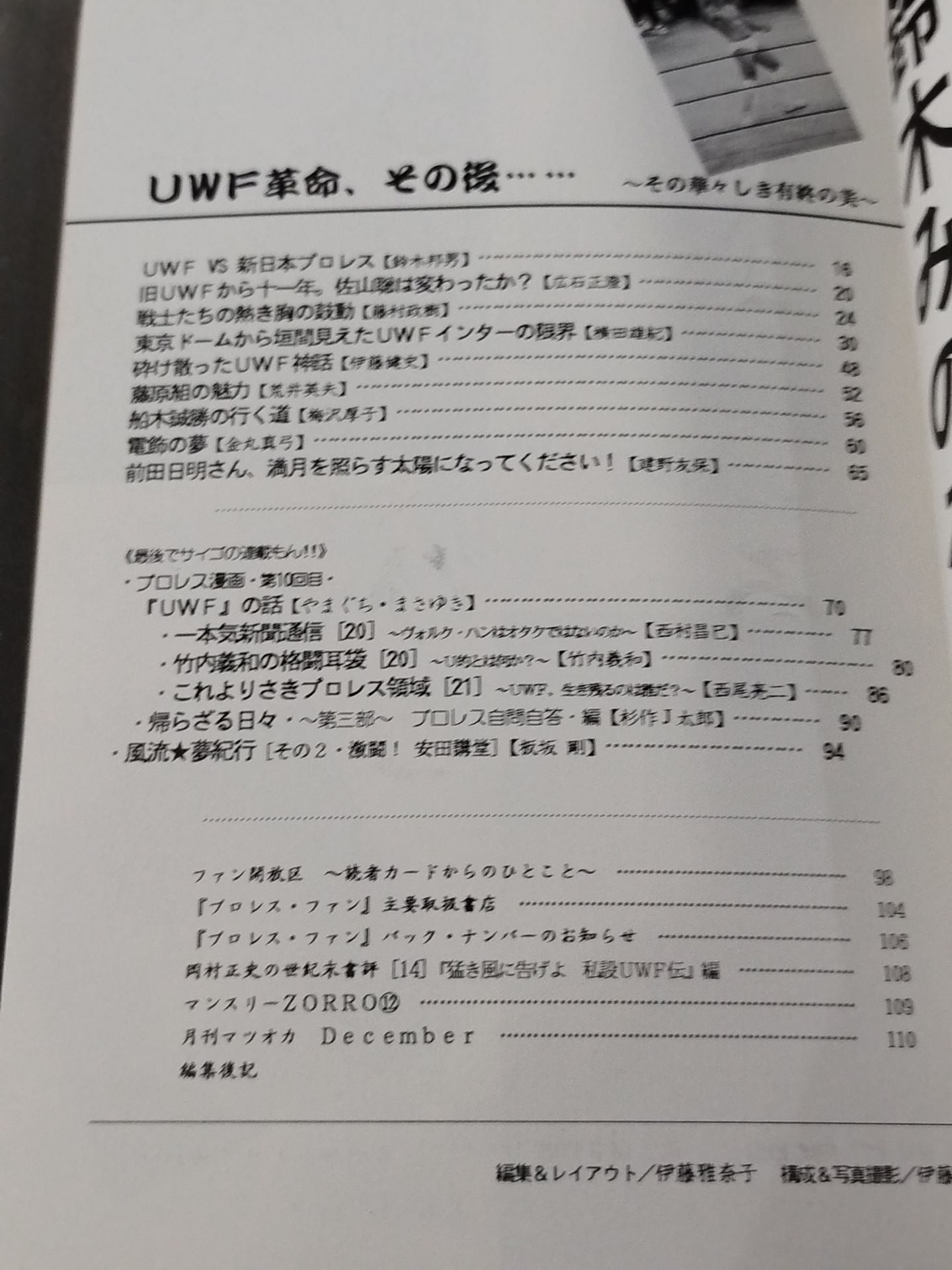プロレス・ファン29