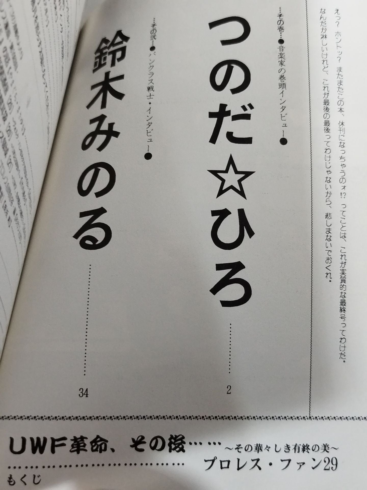 プロレス・ファン29