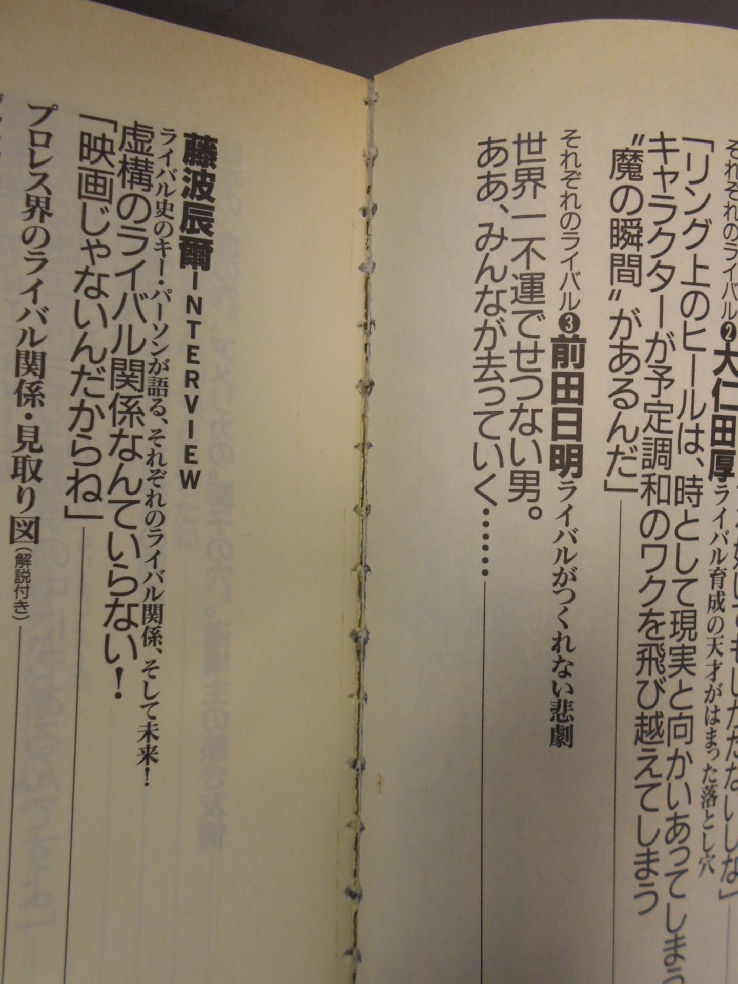 別冊宝島259 プロレスライバル読本 完全保存版!リングを揺るがす、愛と憎しみの闘い!