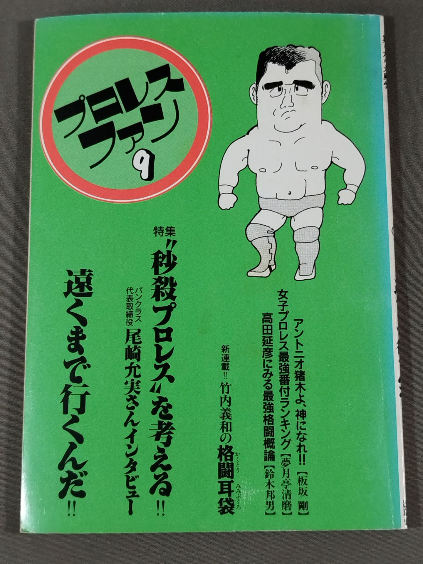 Pro Wrestling Fan 9
