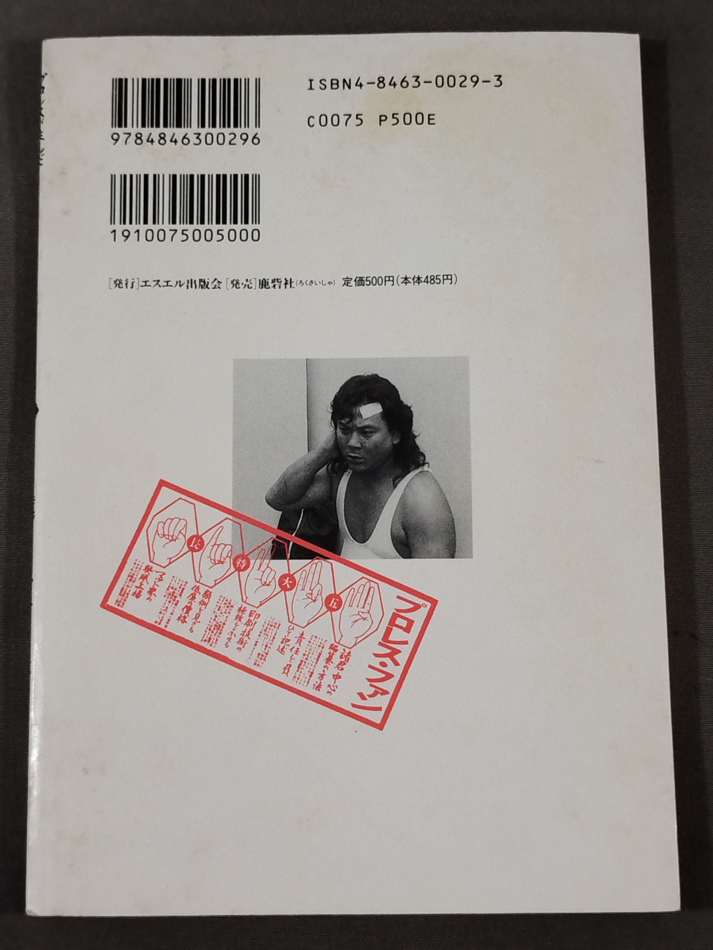 Pro Wrestling Fan 9
