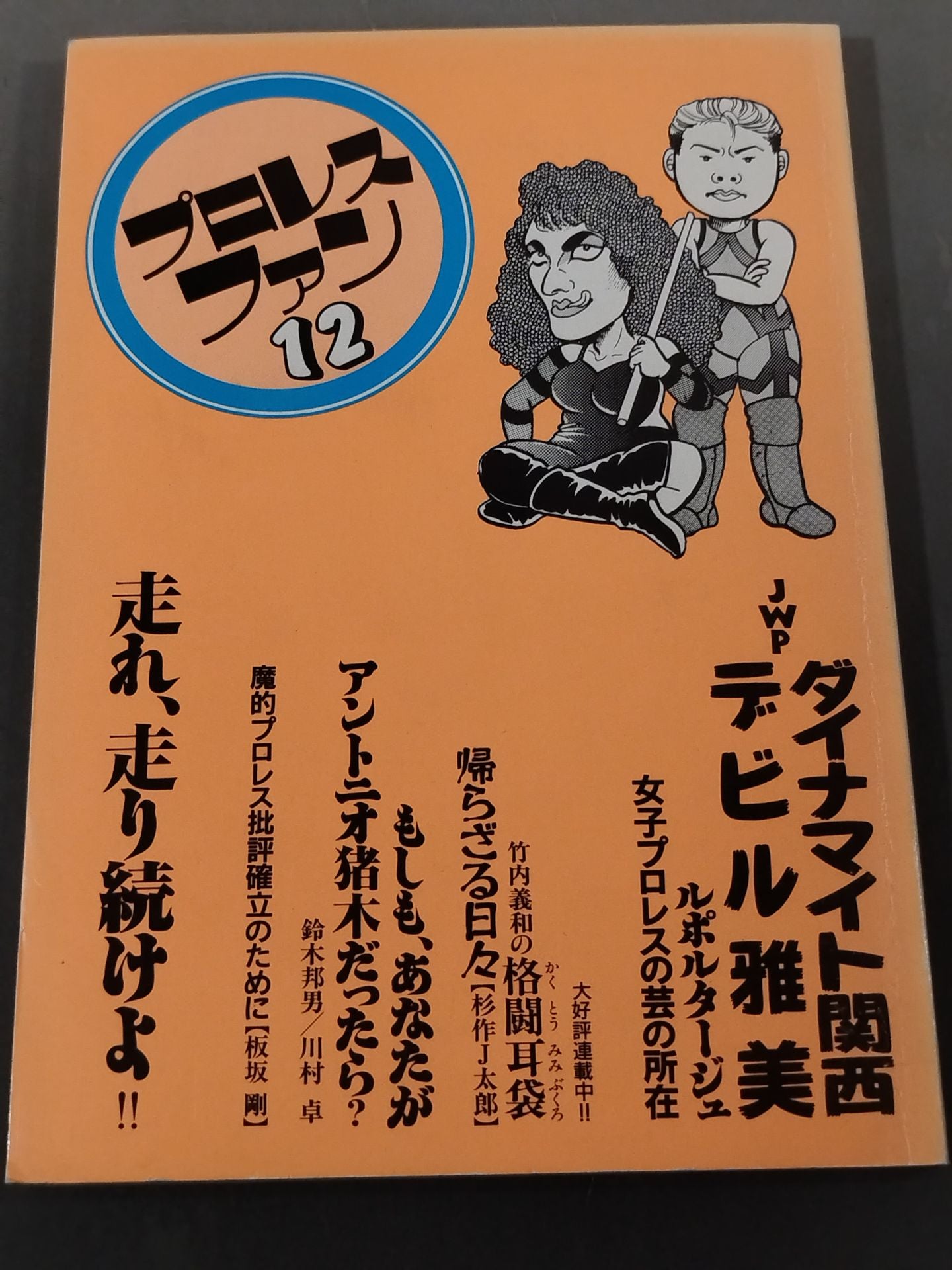 プロレス・ファン12