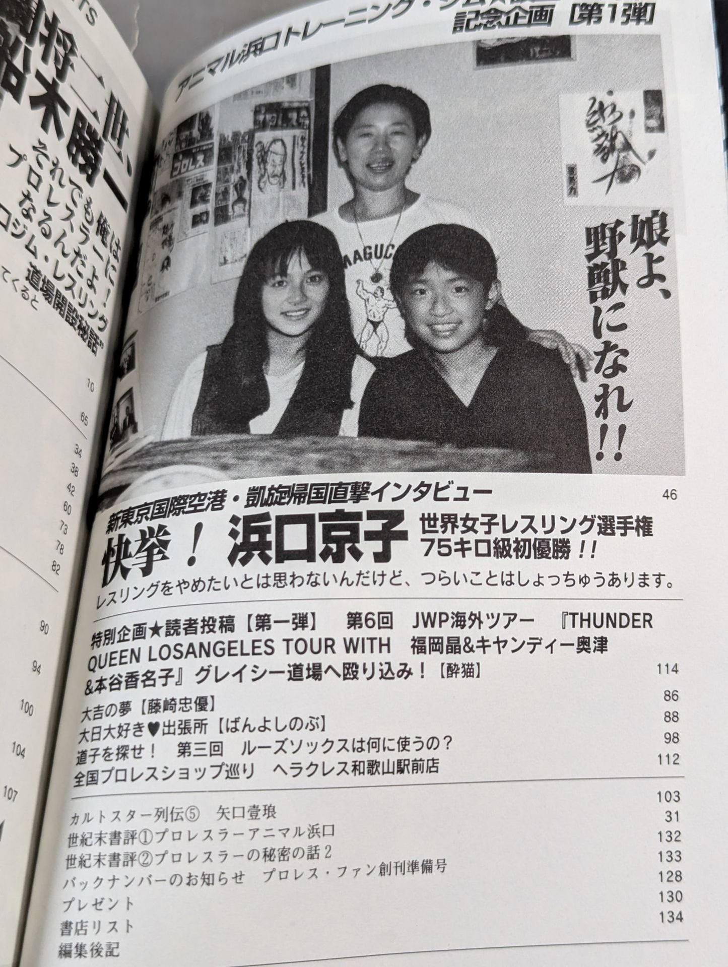Pro Wrestling Fun 34
