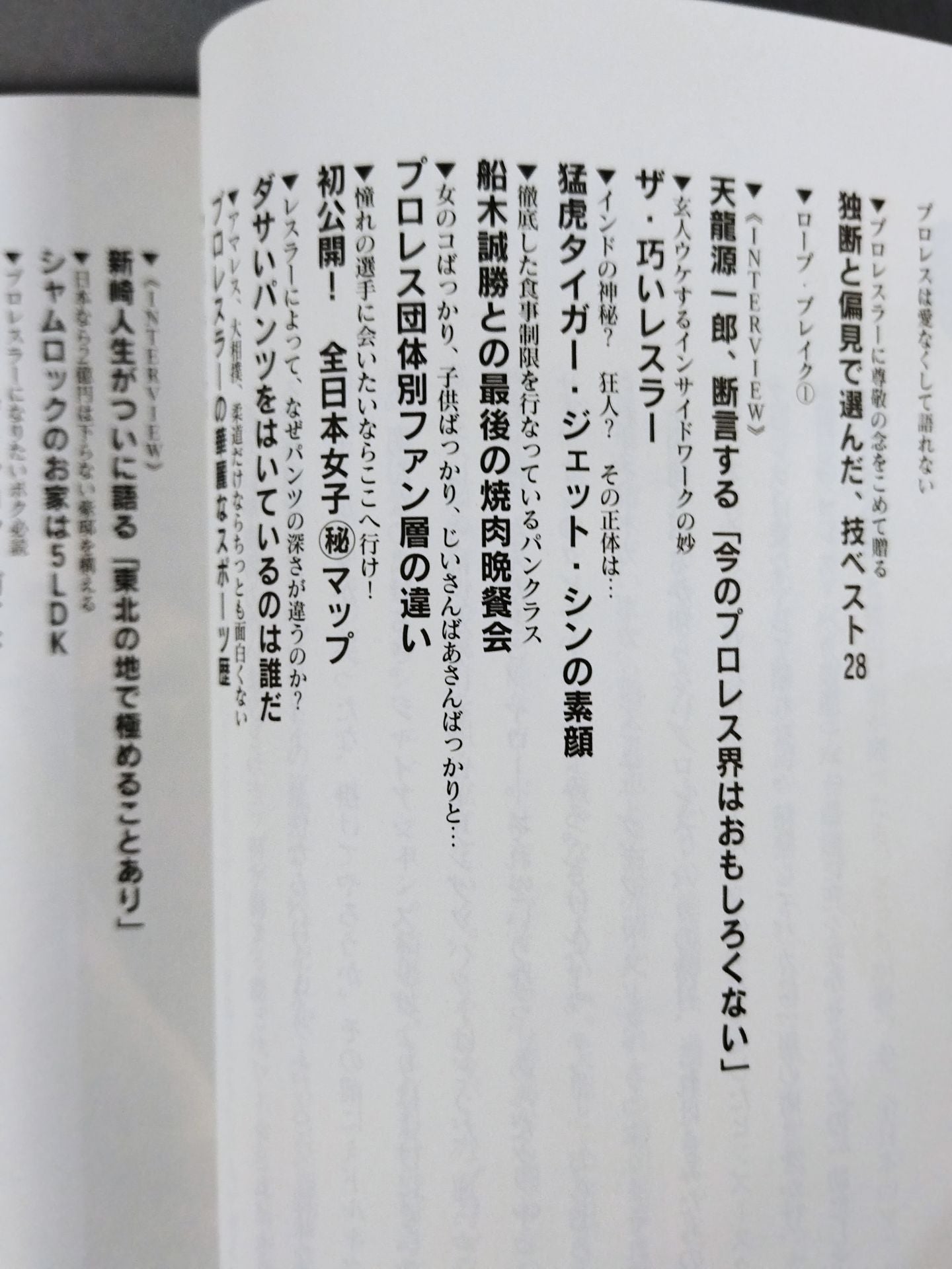 マニアが忘れた悦楽 気持ちいいプロレス