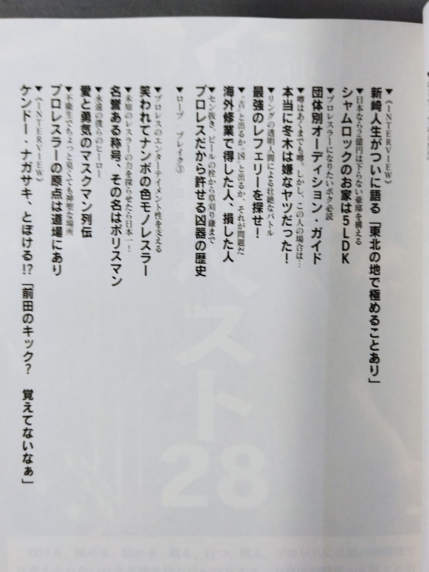 マニアが忘れた悦楽 気持ちいいプロレス