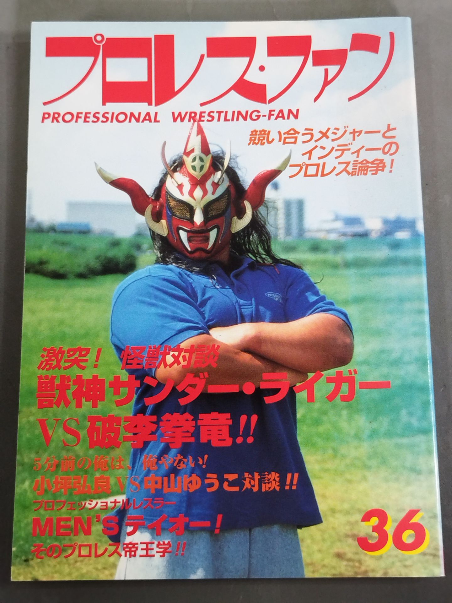 Pro Wrestling Fun 36