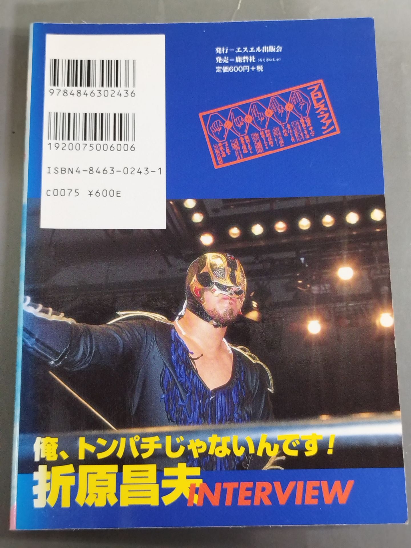 Pro Wrestling Fun 36
