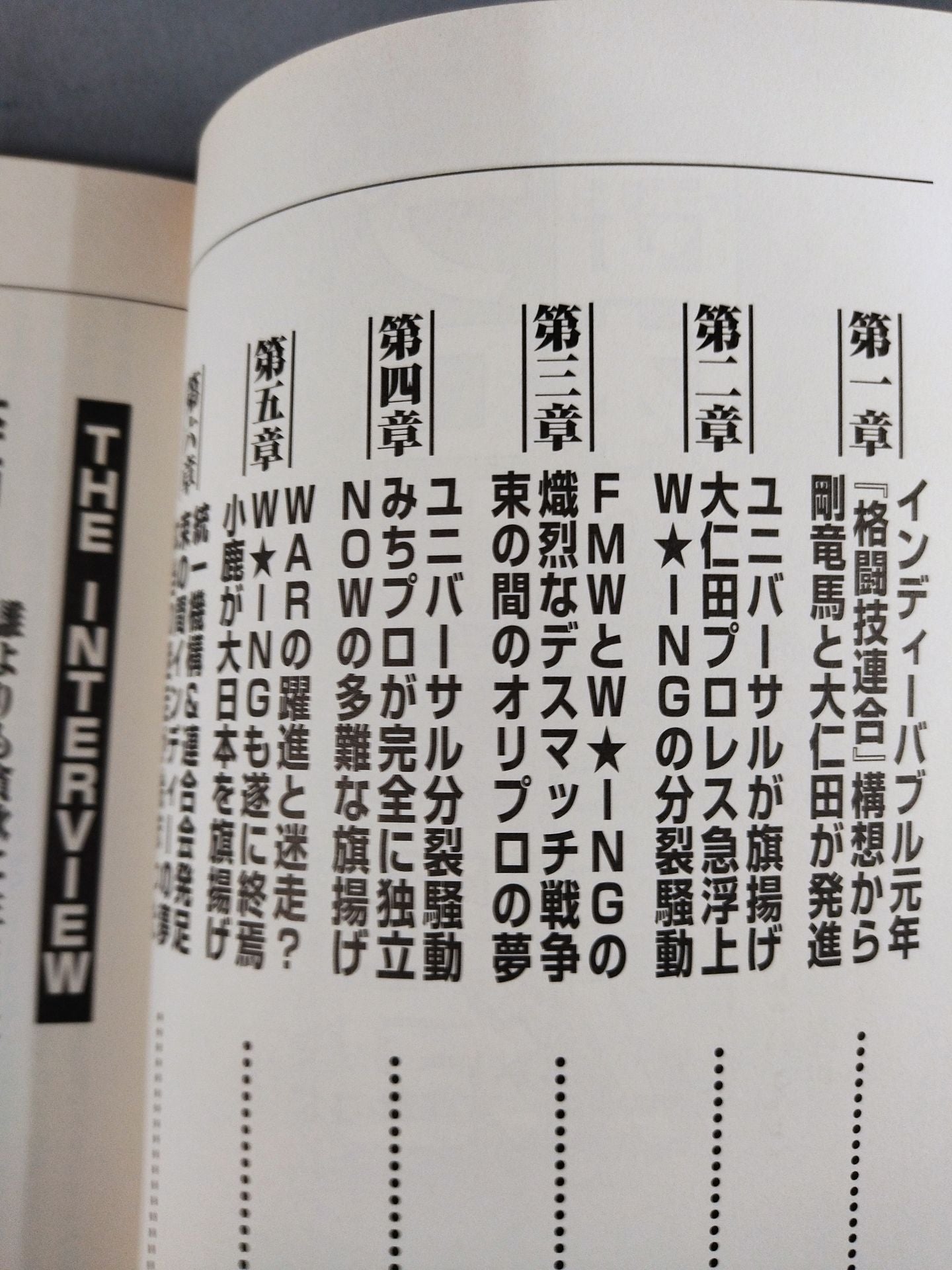 プロレス虚泡団体の真実