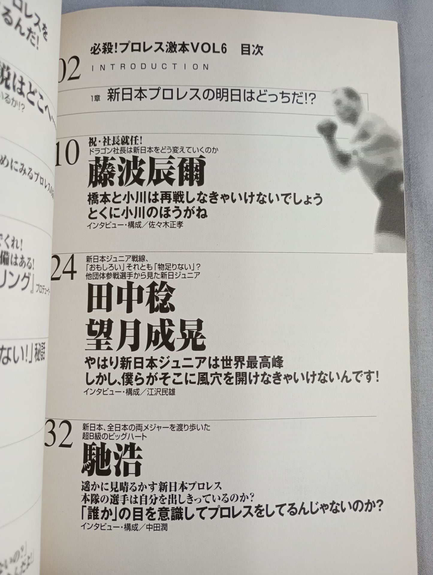 必殺!プロレス激本6 新日本プロレスの明日はどっちだ!?