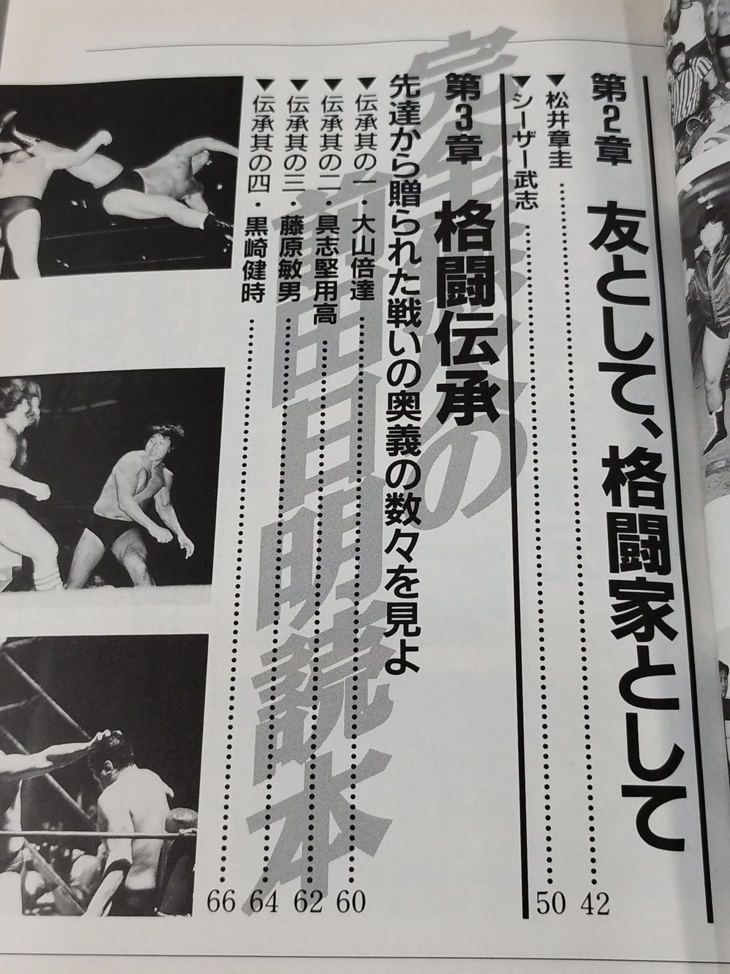 The perfect Akira Maeda reader