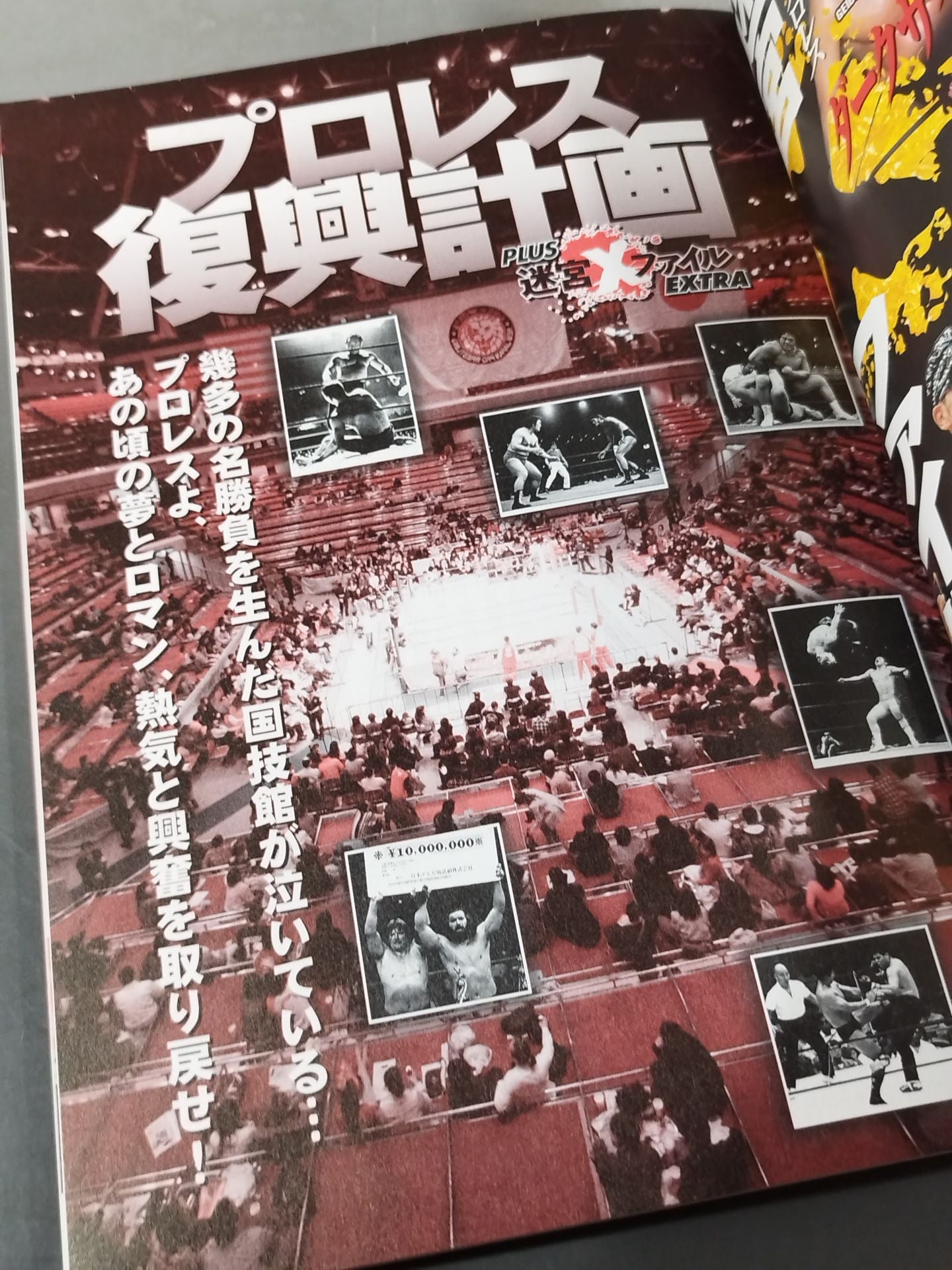 プロレス復興計画 PLUS迷宮Xファイル EXTRA