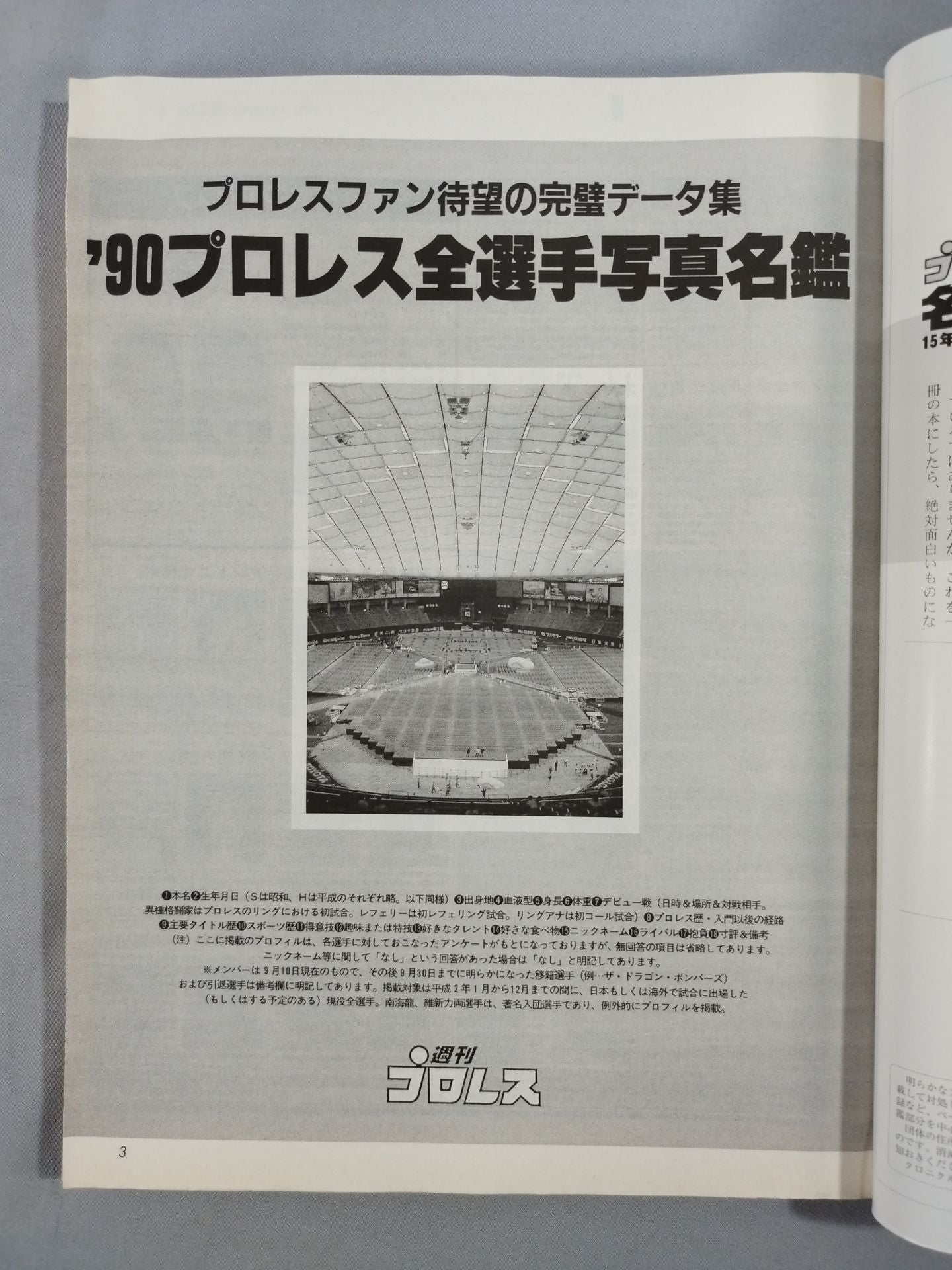 週刊プロレス 名鑑ロマン 15年クロニクル