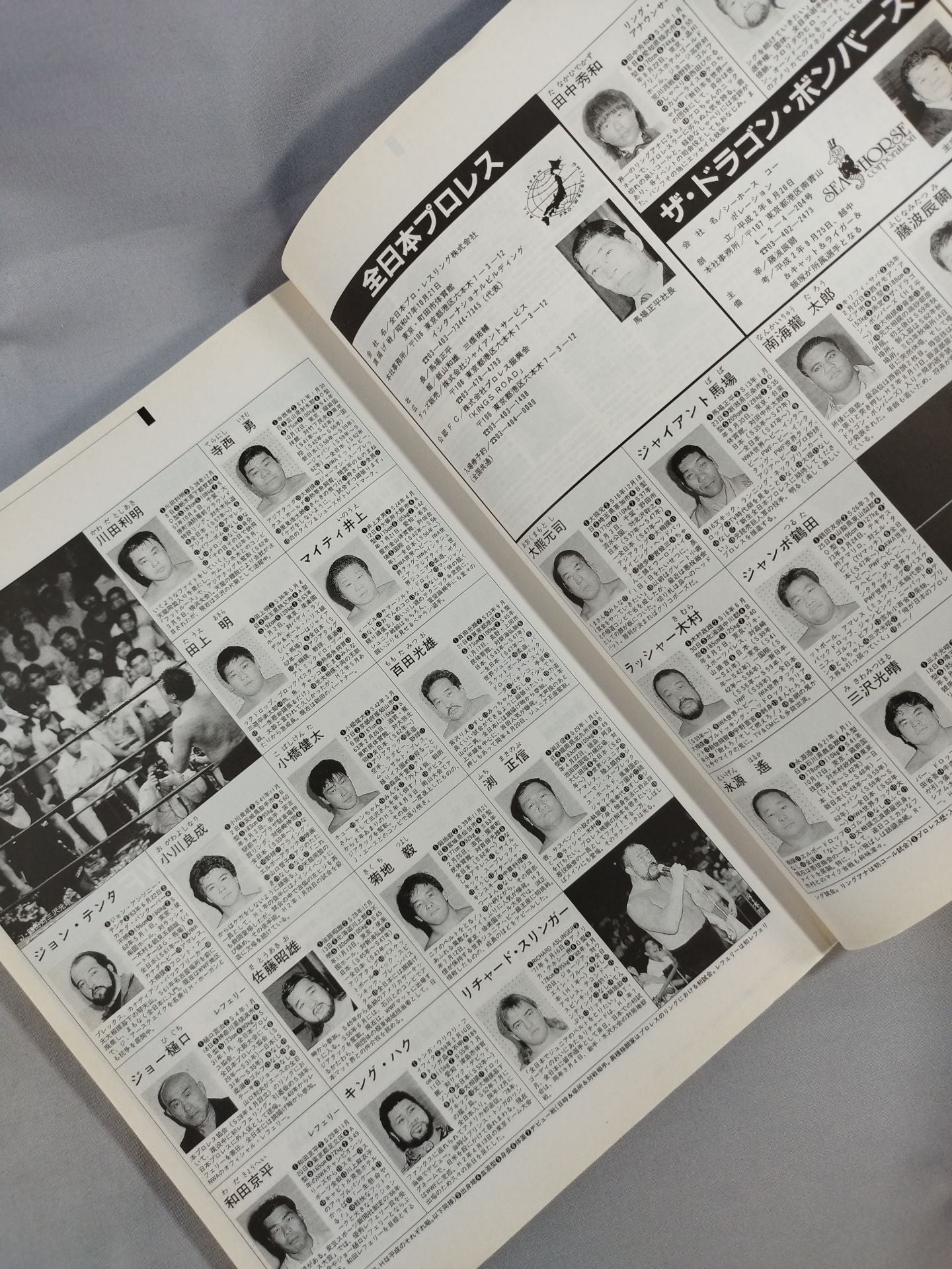 週刊プロレス 名鑑ロマン 15年クロニクル