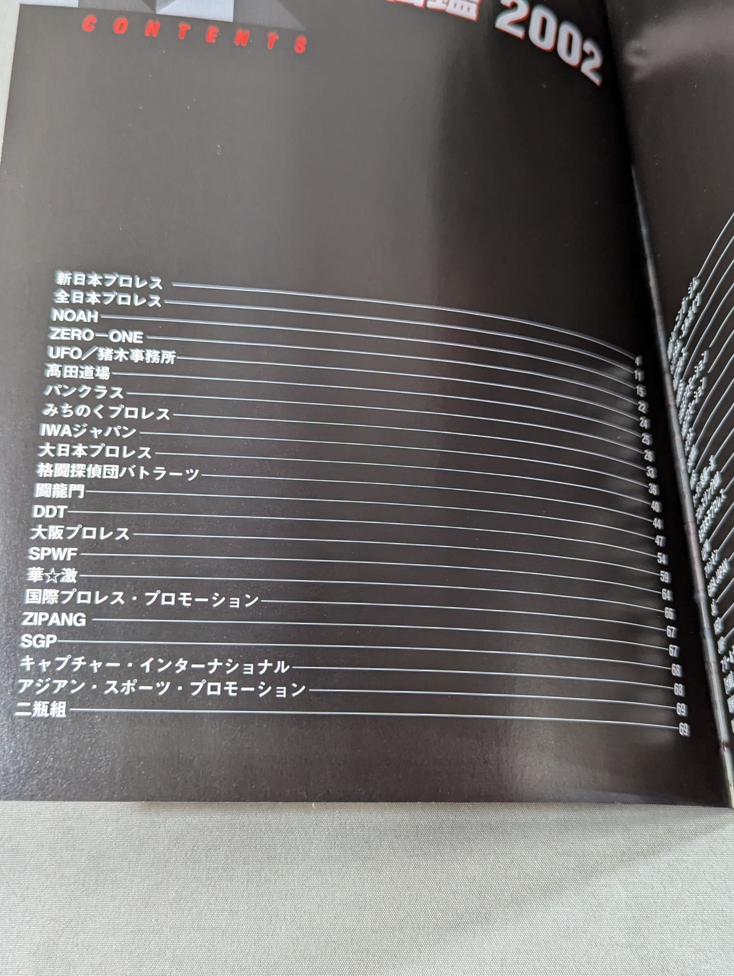プロレスラー カラー写真名鑑2002 増補改訂版